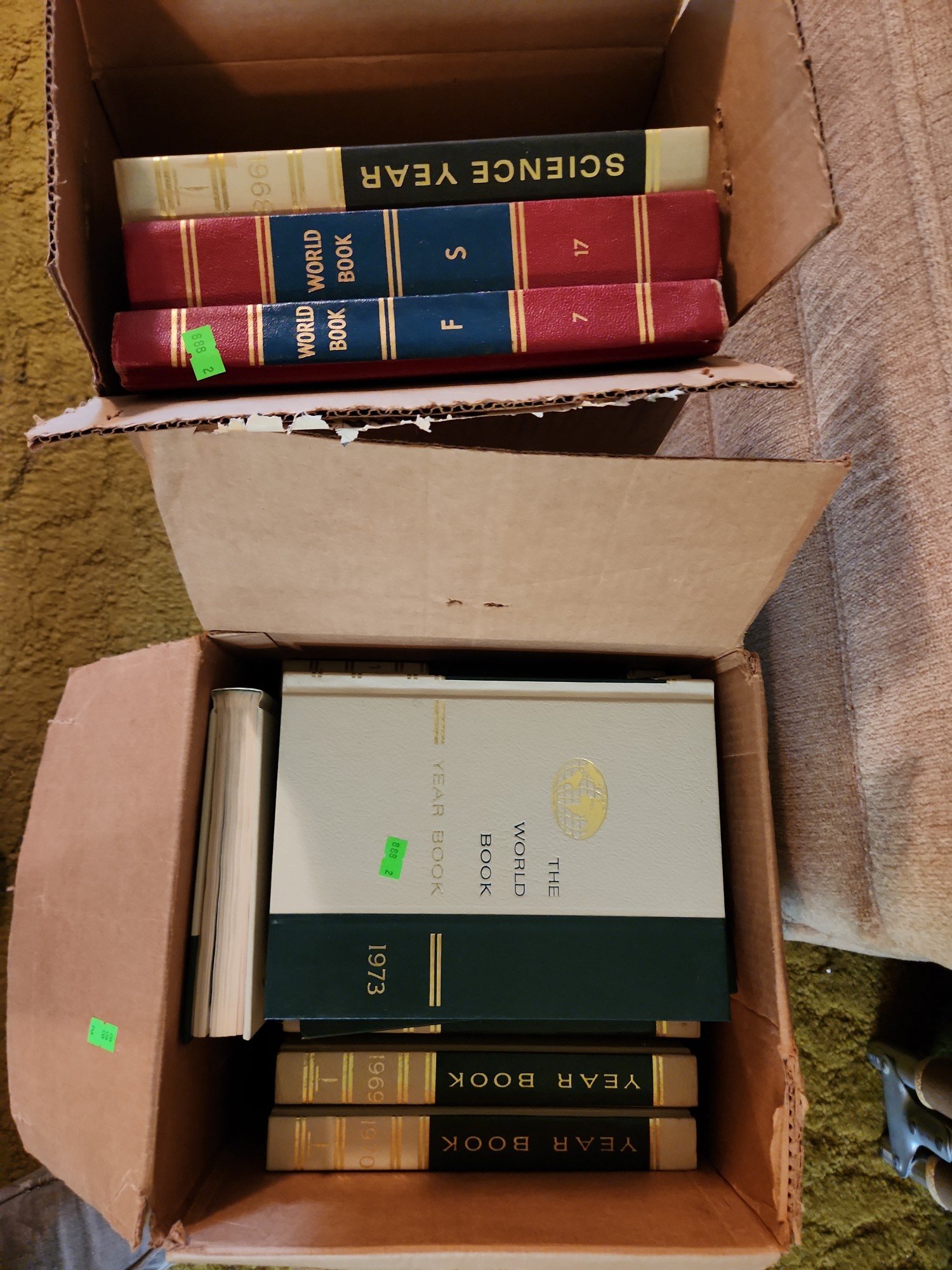 Online Bidding Available!