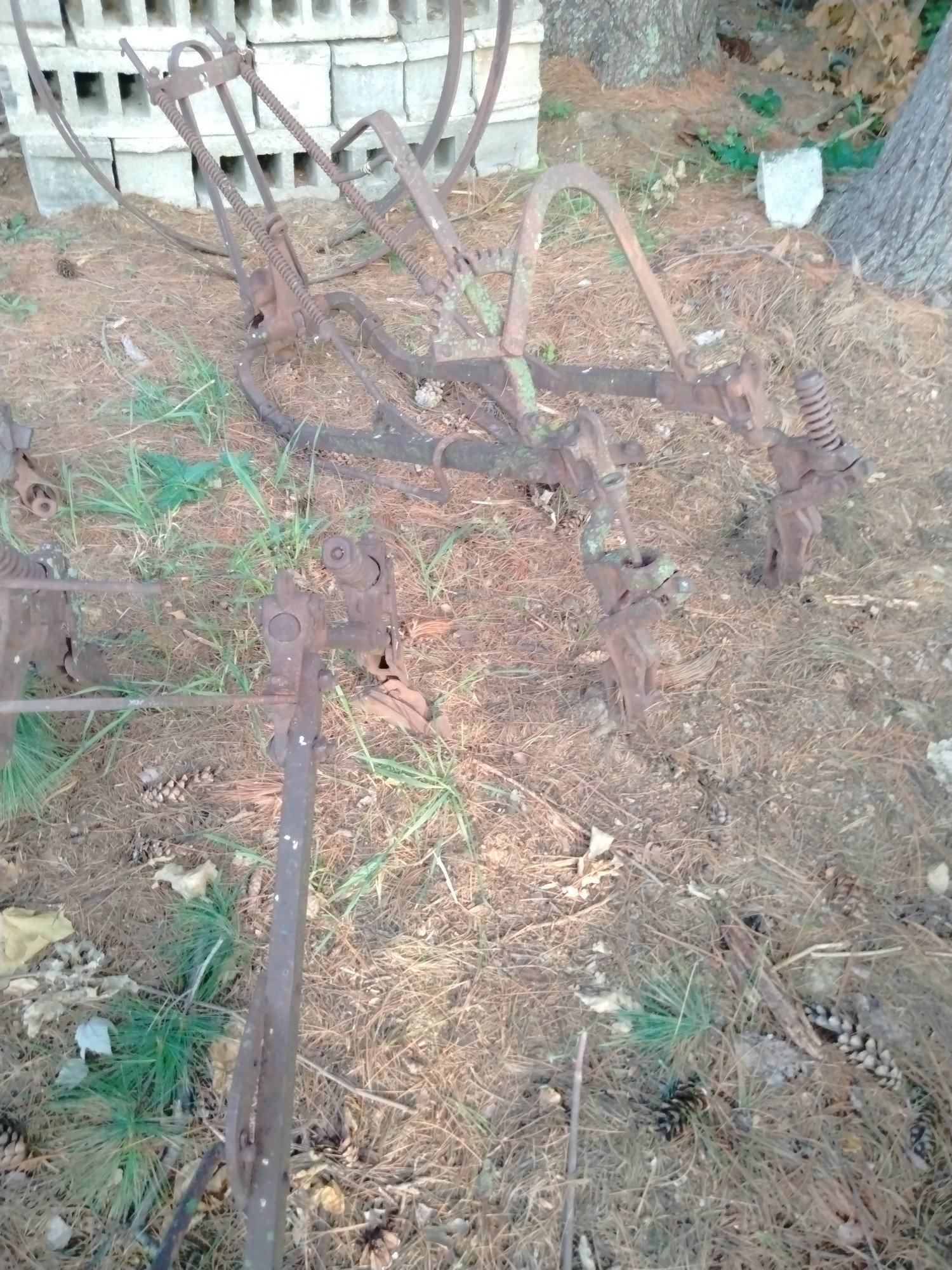 Online Bidding Available!