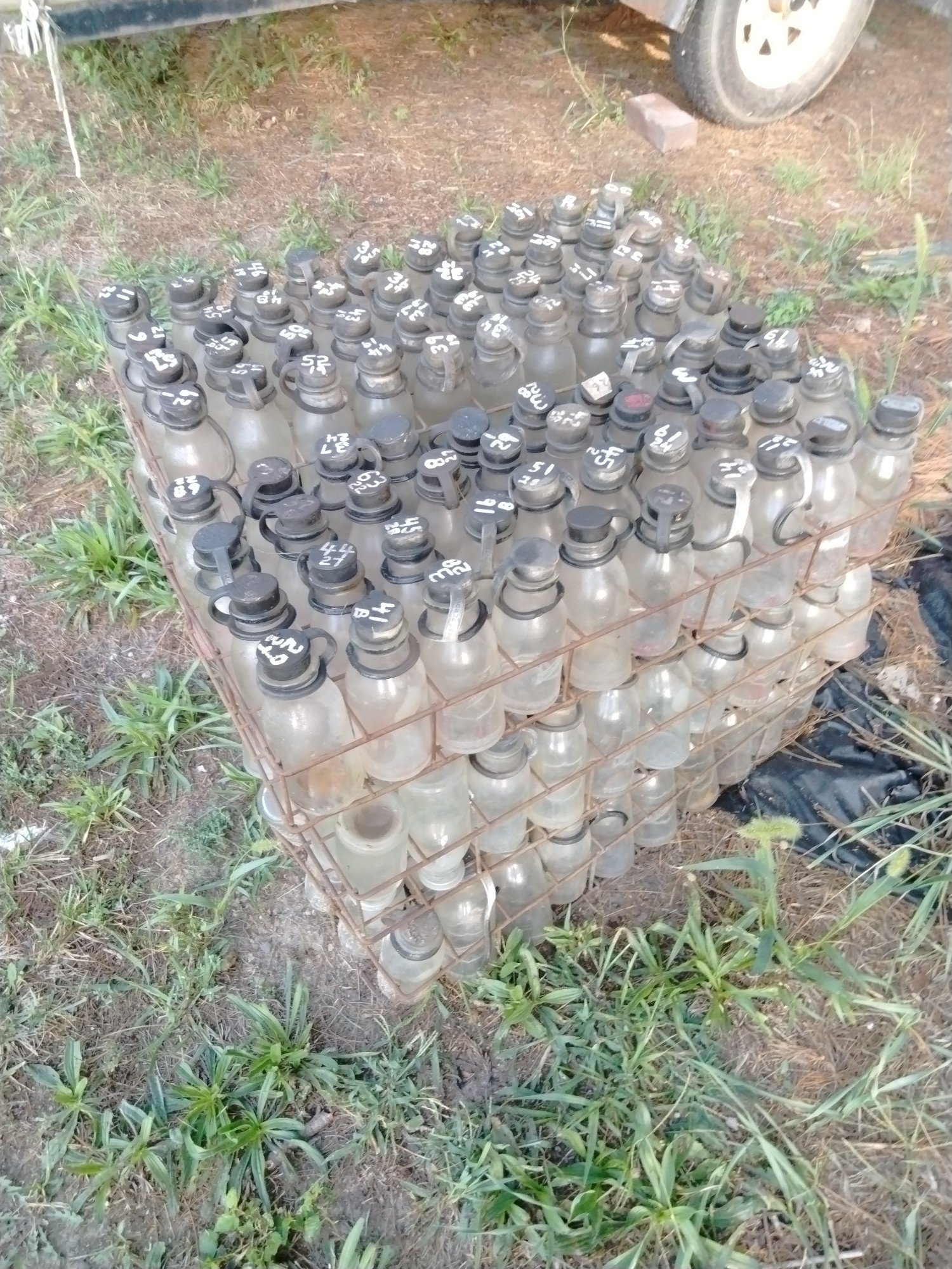 Online Bidding Available!