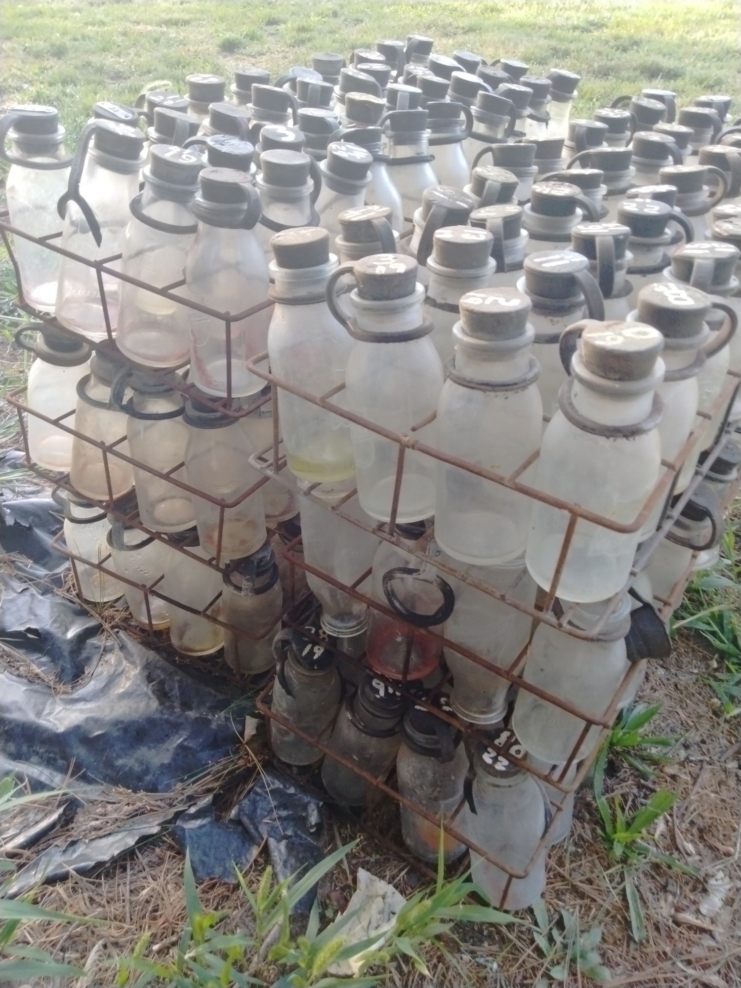 Online Bidding Available!