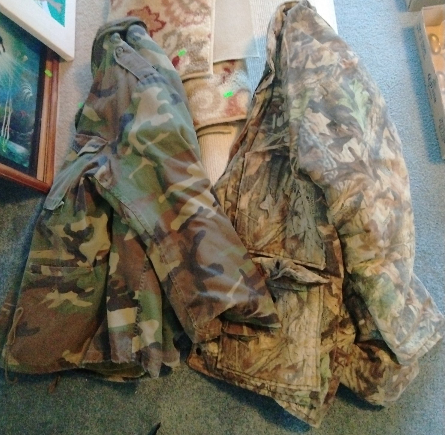 Online Bidding Available!