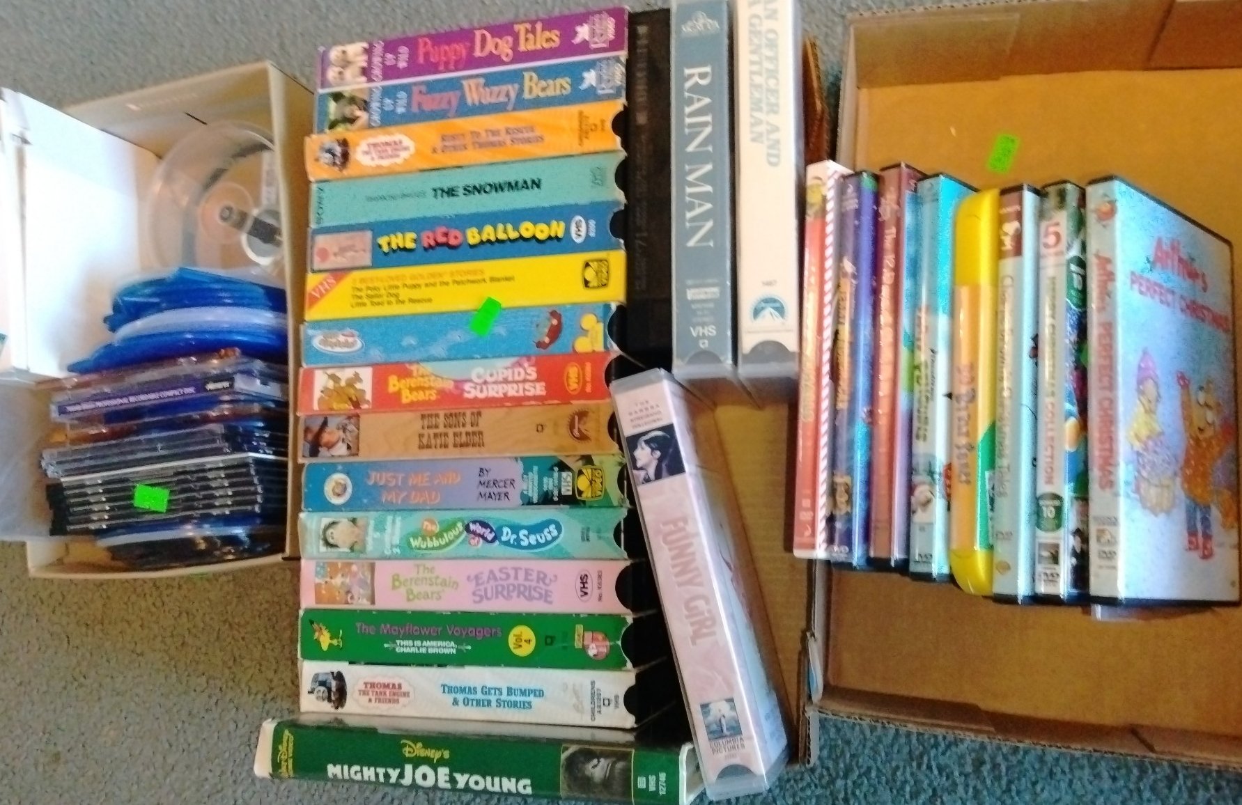 Online Bidding Available!