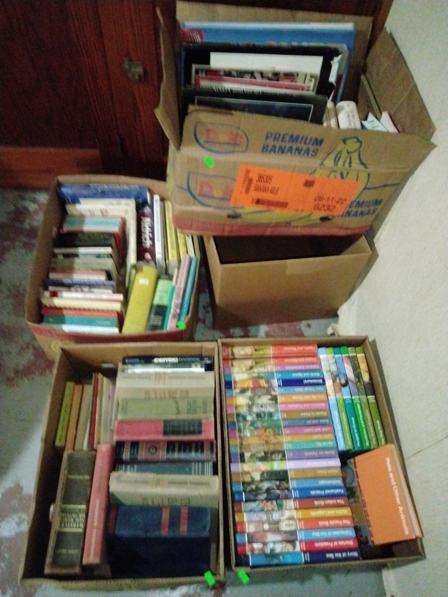 Online Bidding Available!