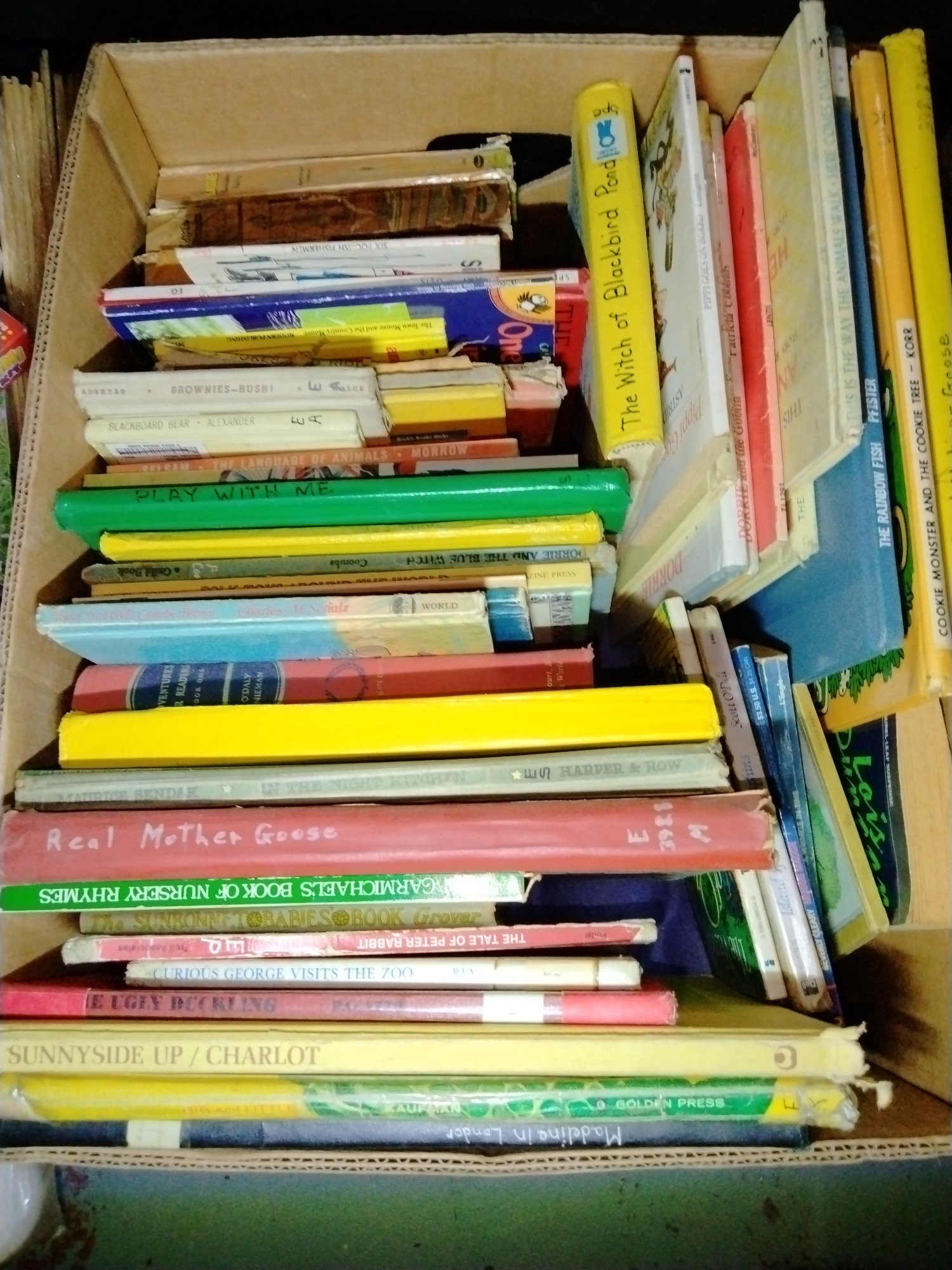 Online Bidding Available!