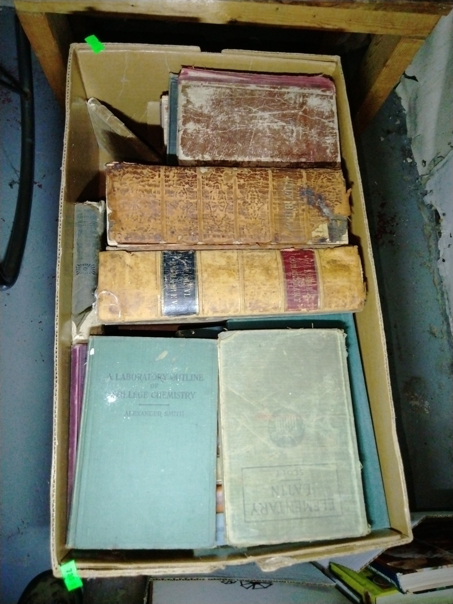 Online Bidding Available!