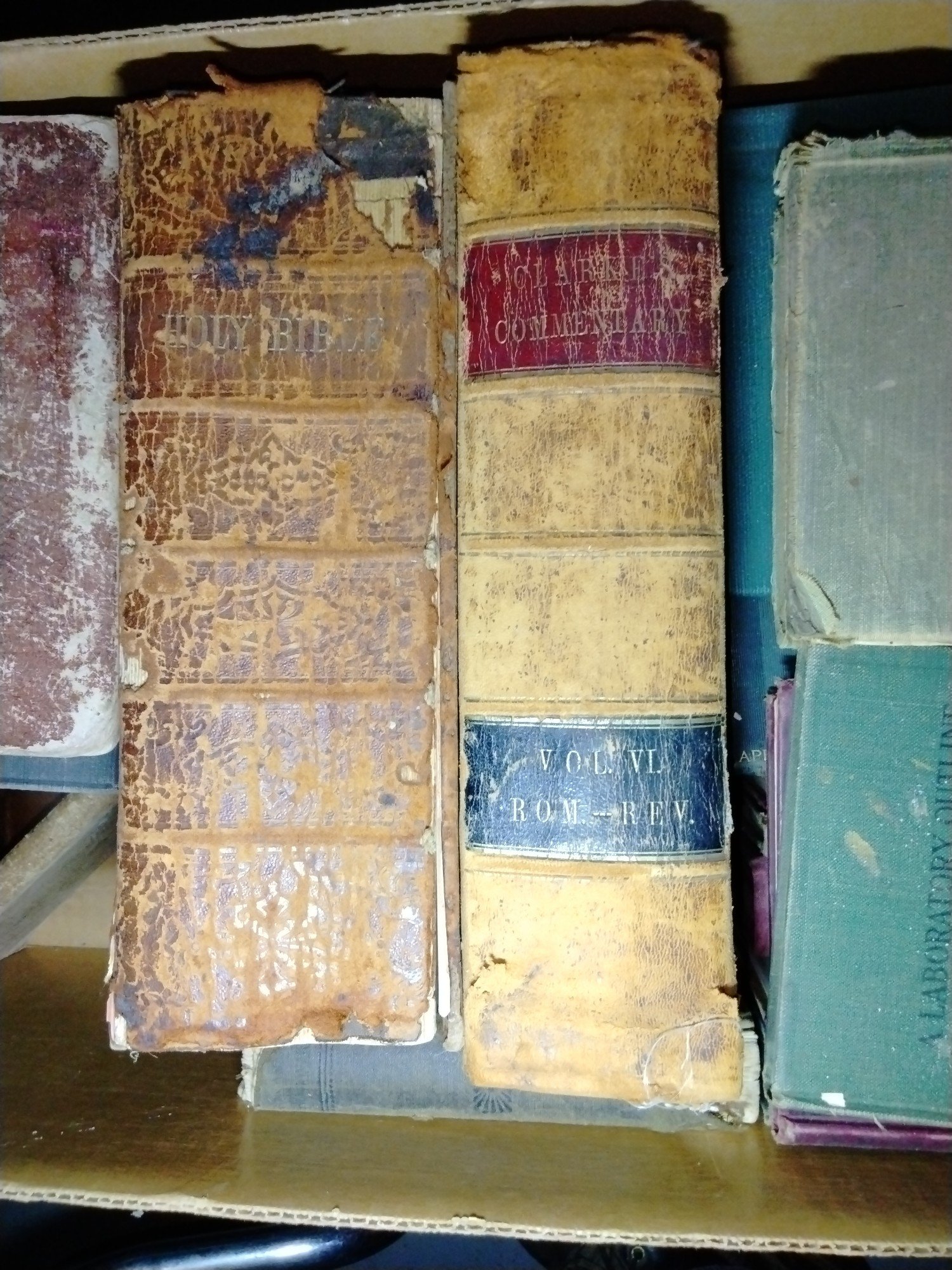 Online Bidding Available!