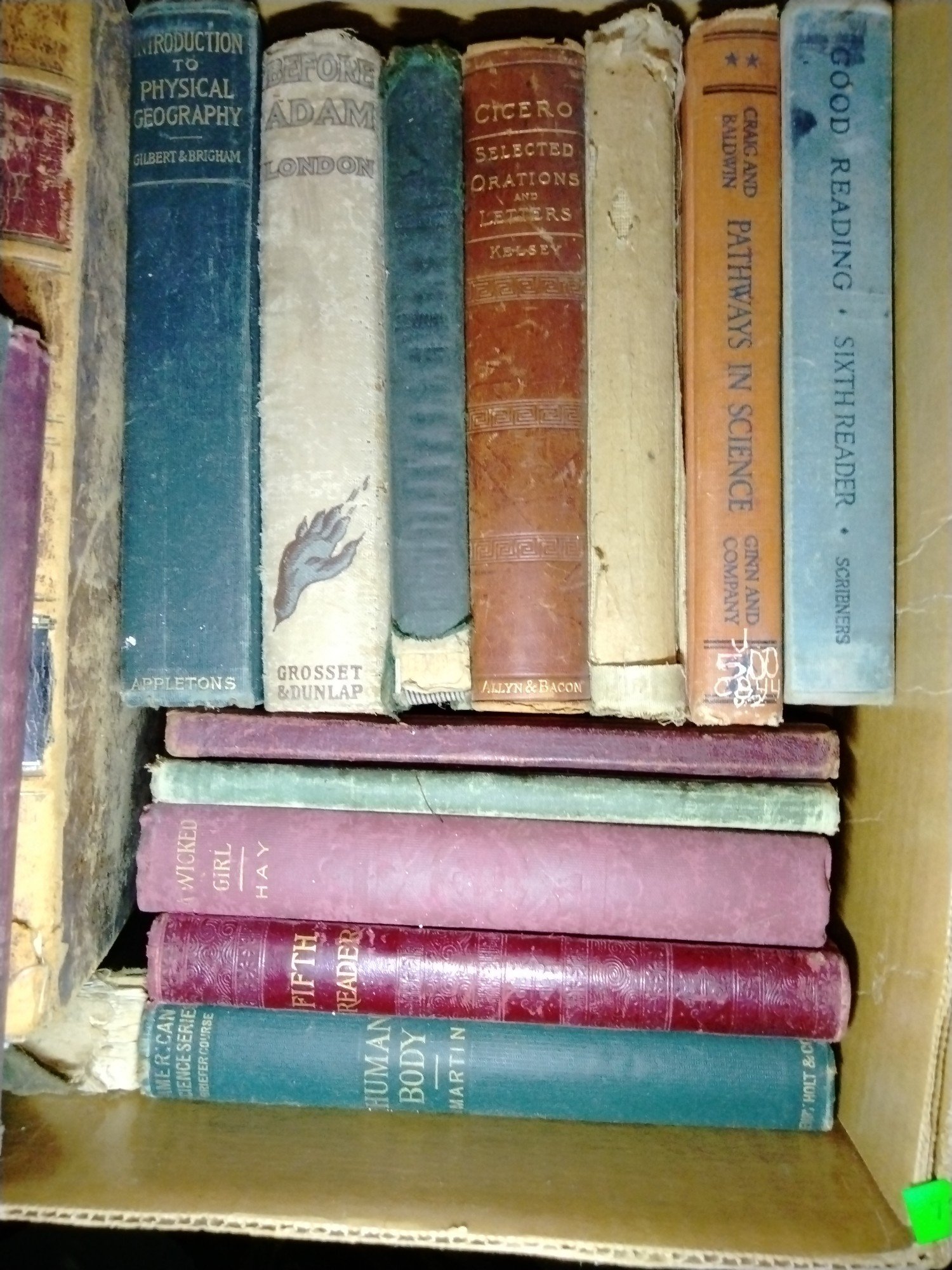 Online Bidding Available!