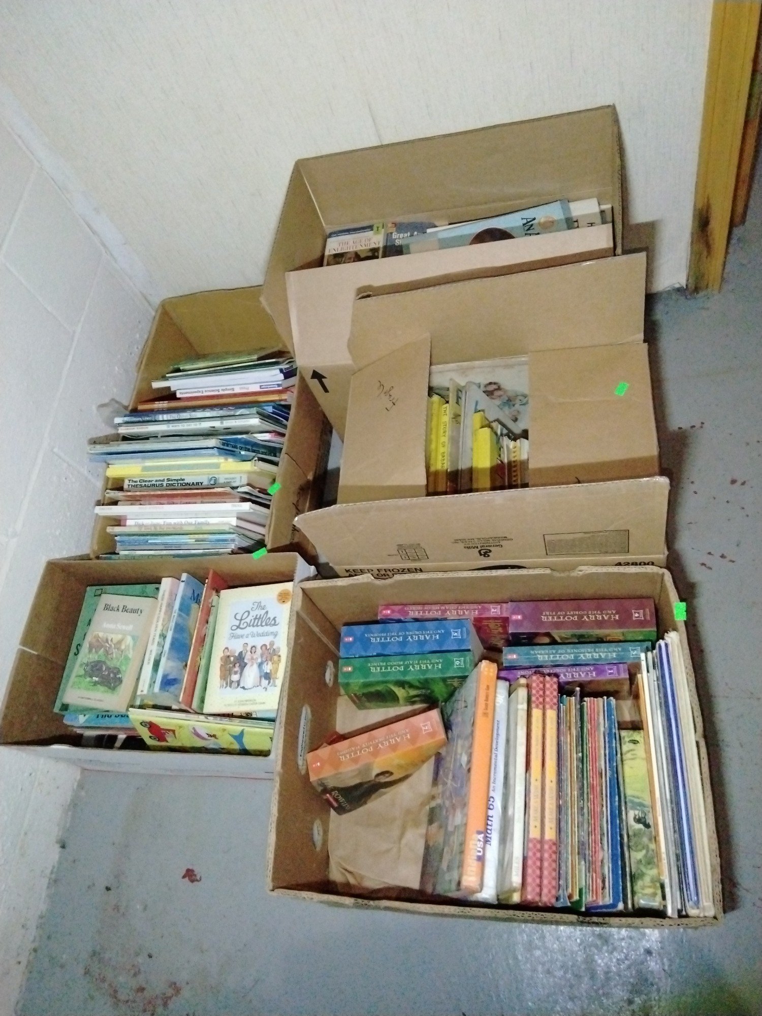 Online Bidding Available!