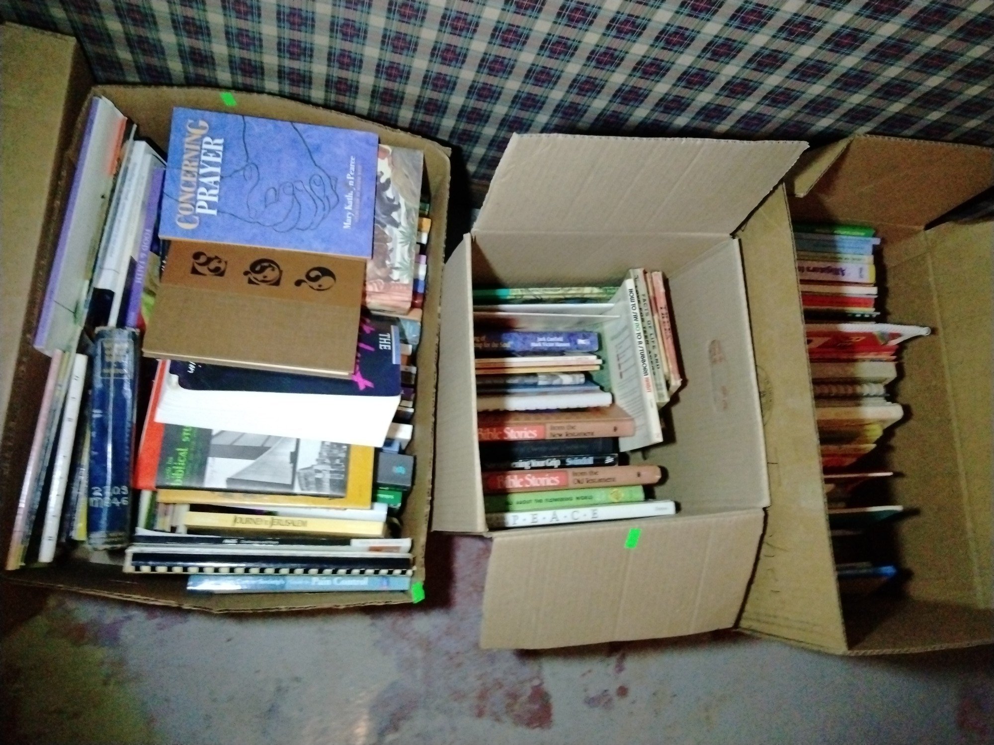 Online Bidding Available!