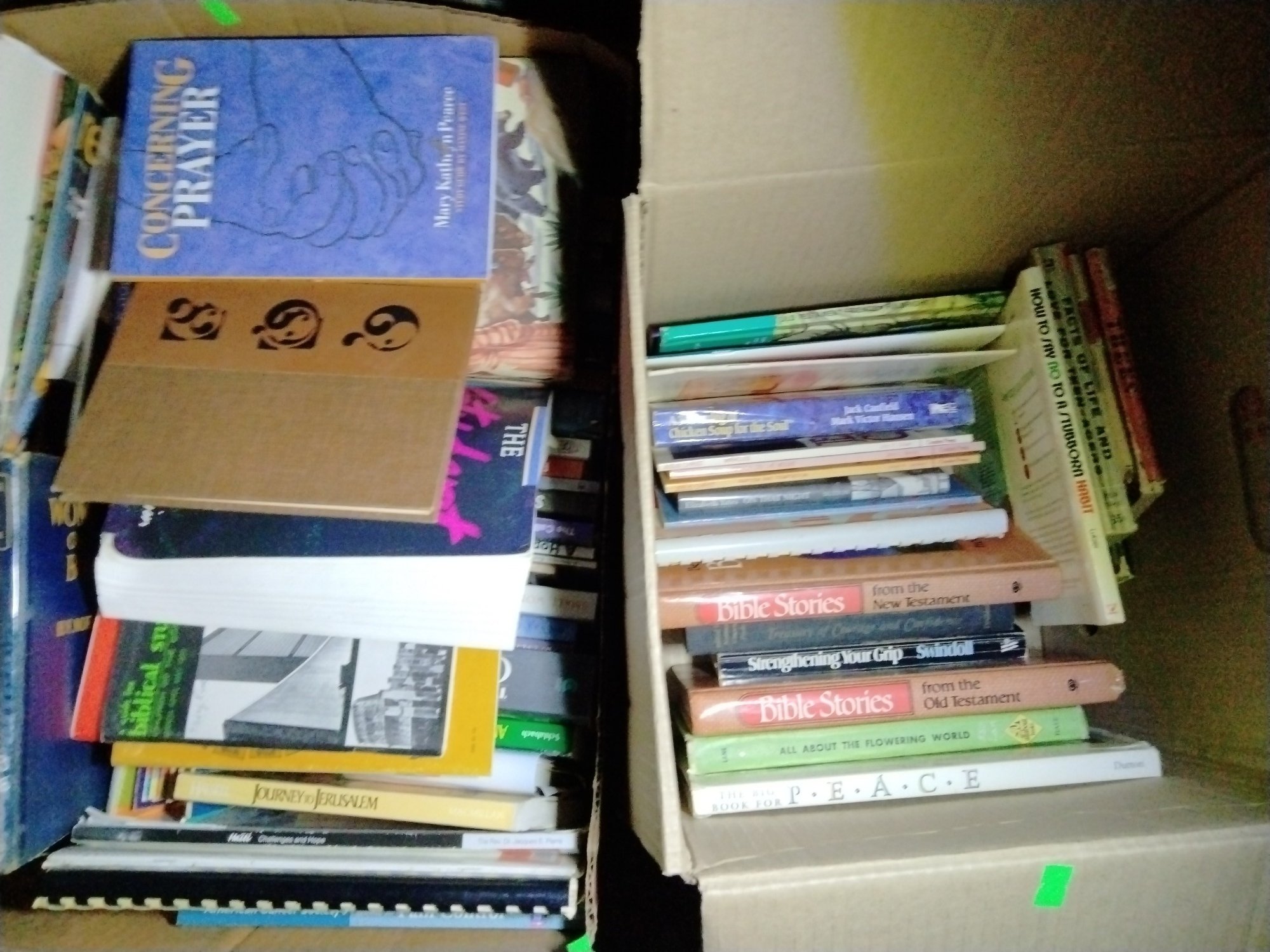 Online Bidding Available!