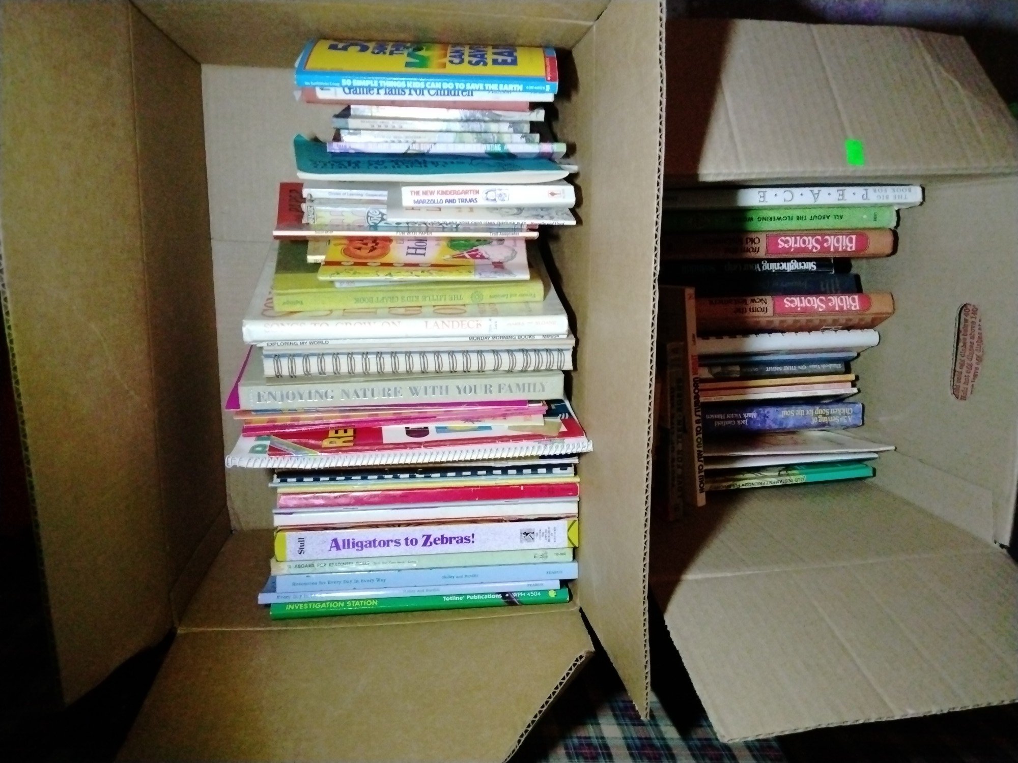 Online Bidding Available!