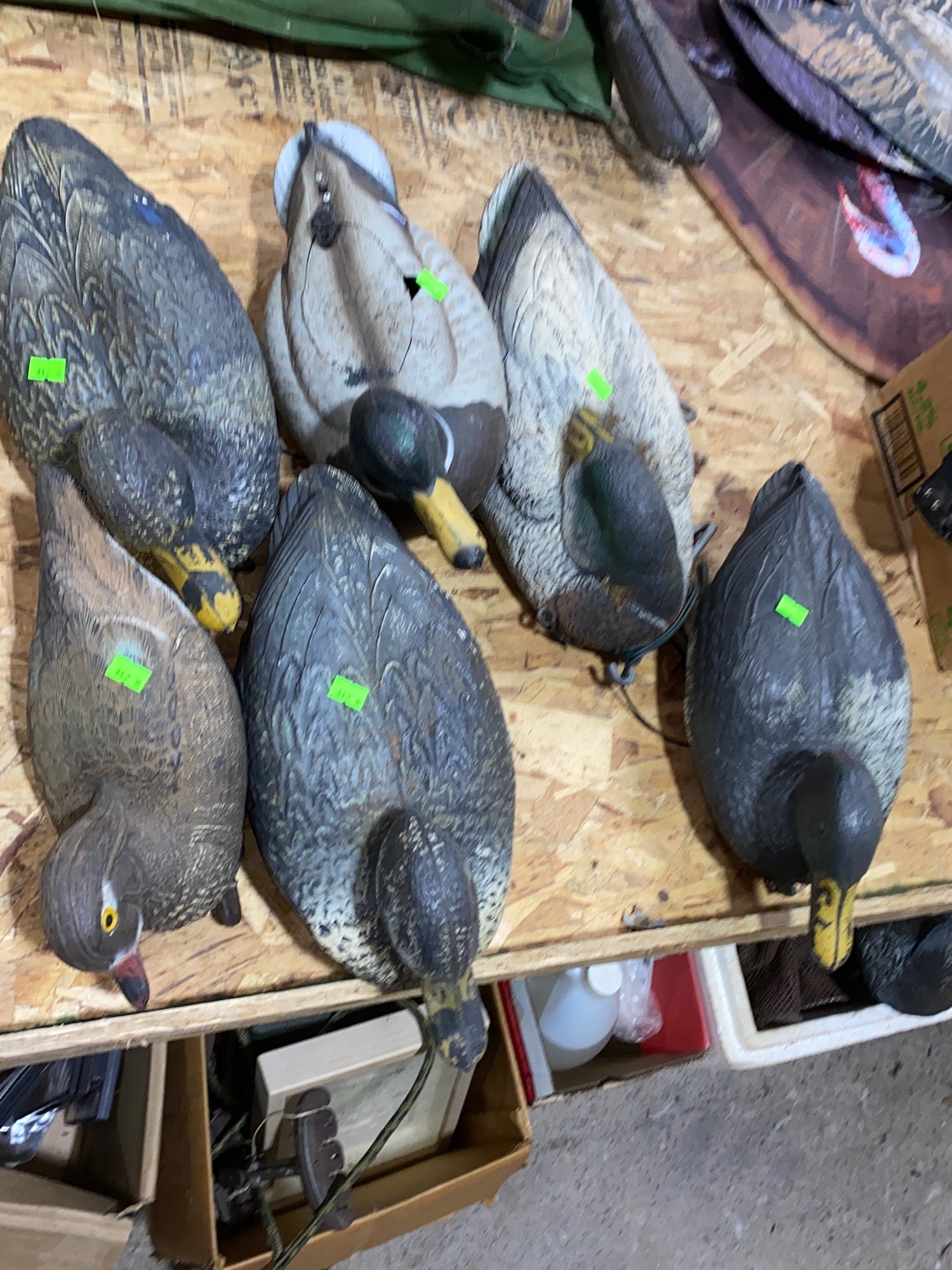 ONLINE BIDDING ONLY