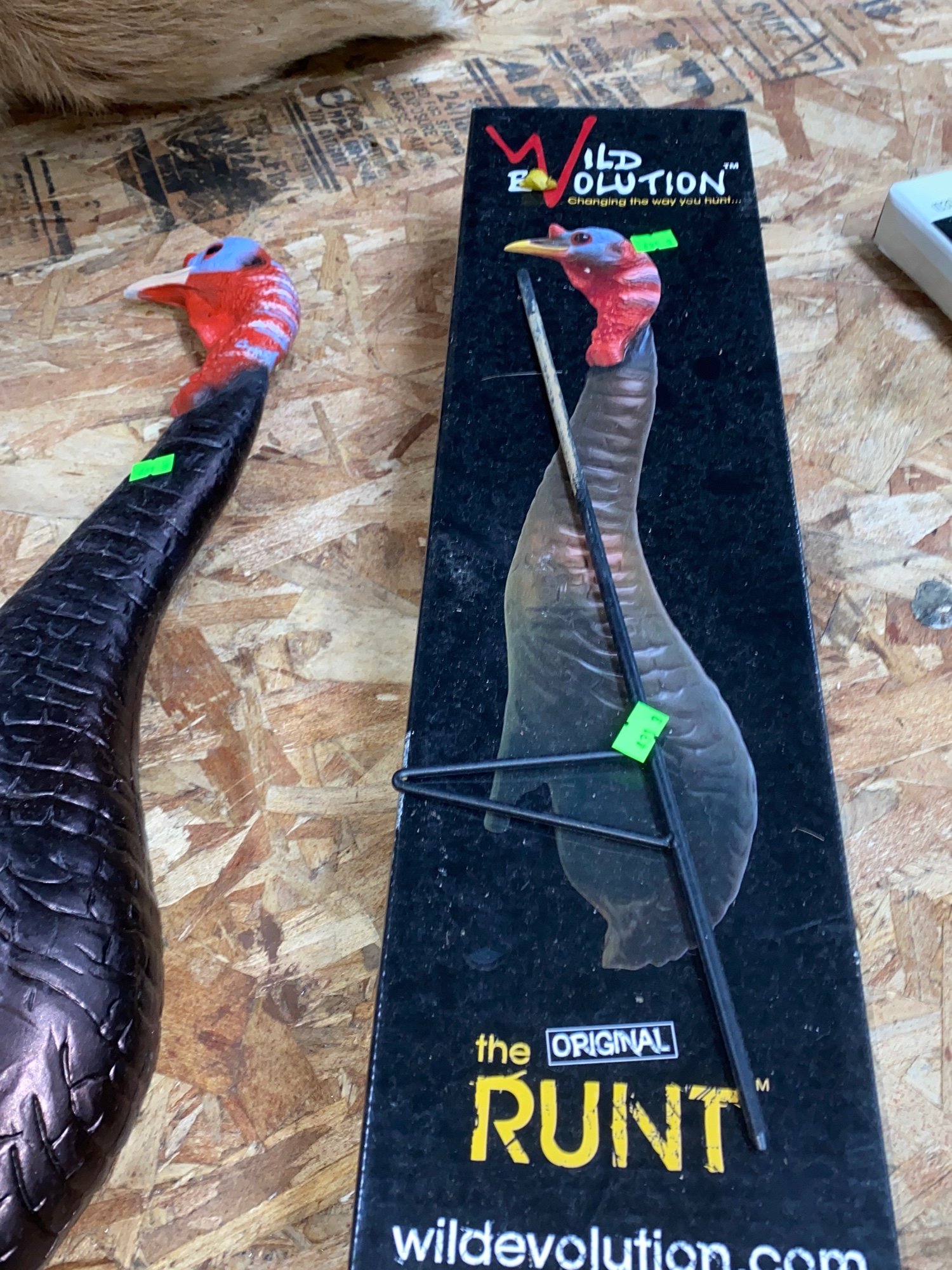 ONLINE BIDDING ONLY