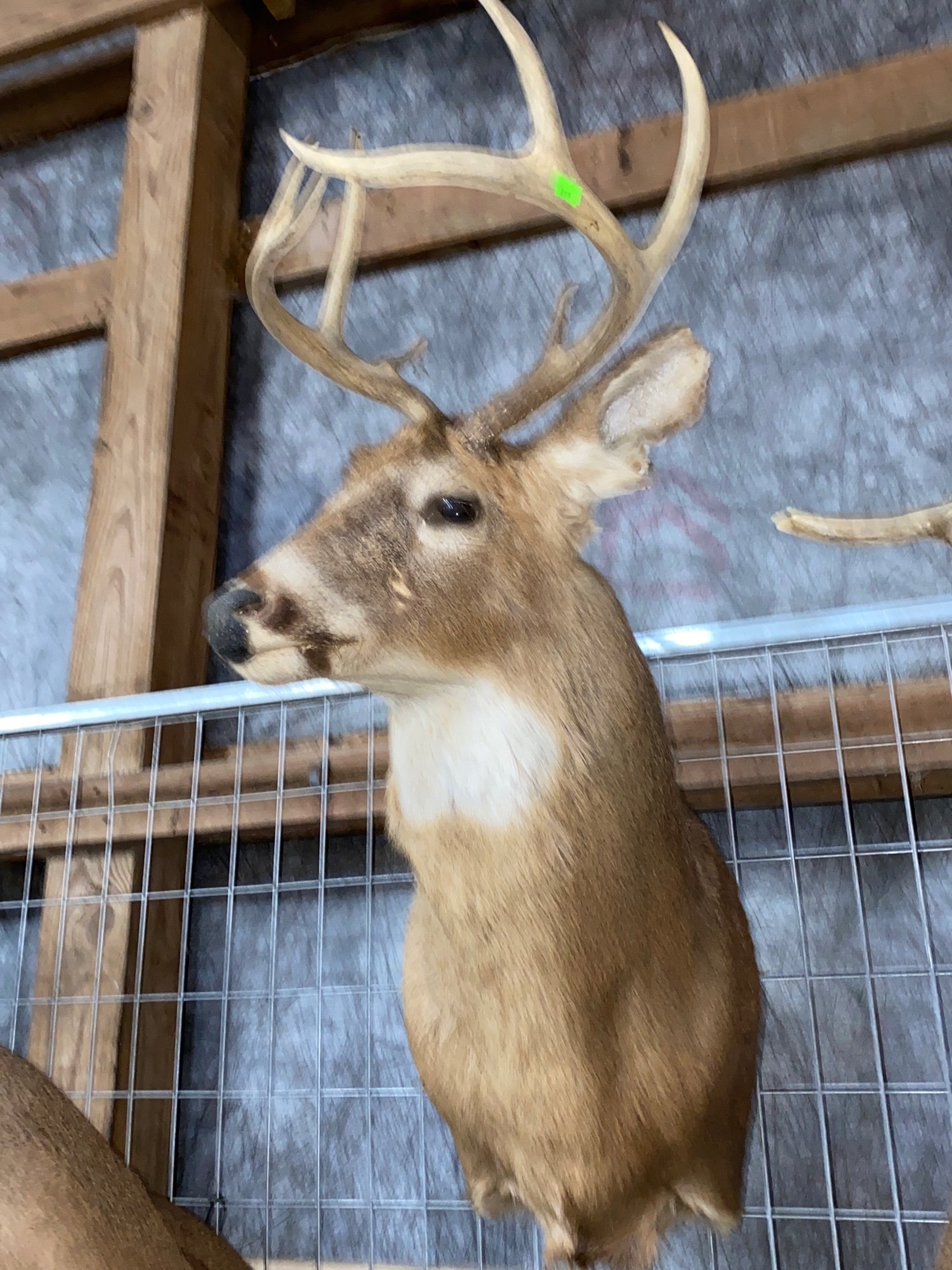 ONLINE BIDDING ONLY