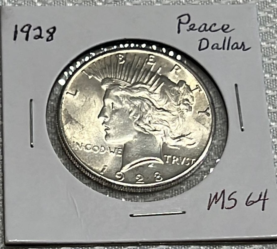 Online Bidding Available!