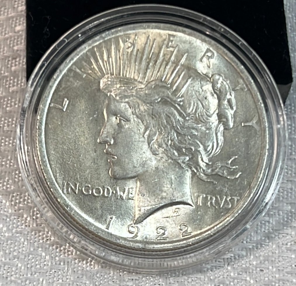 Online Bidding Available!