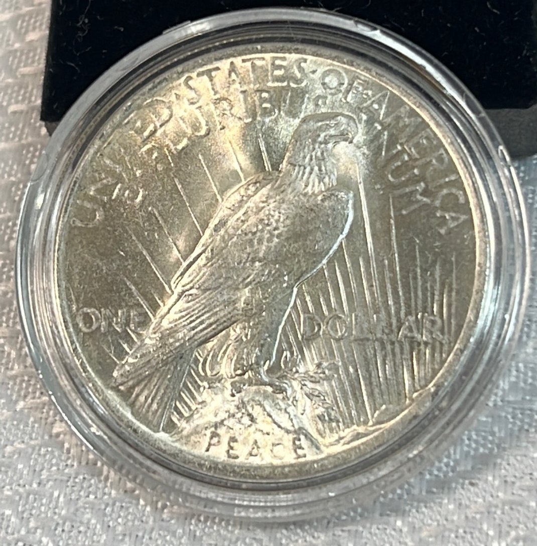 Online Bidding Available!