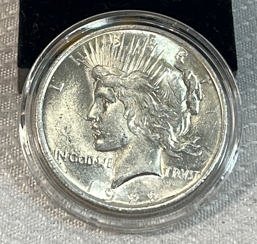 Online Bidding Available!