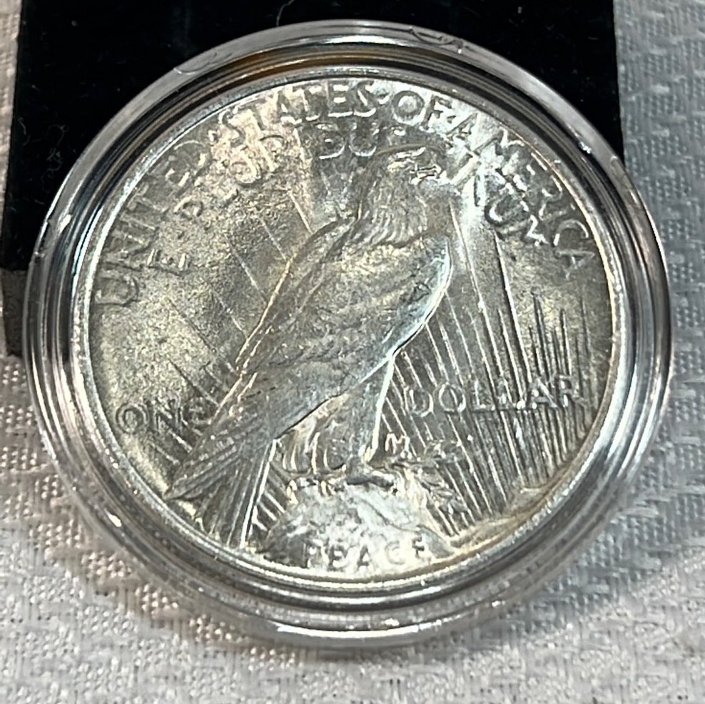 Online Bidding Available!