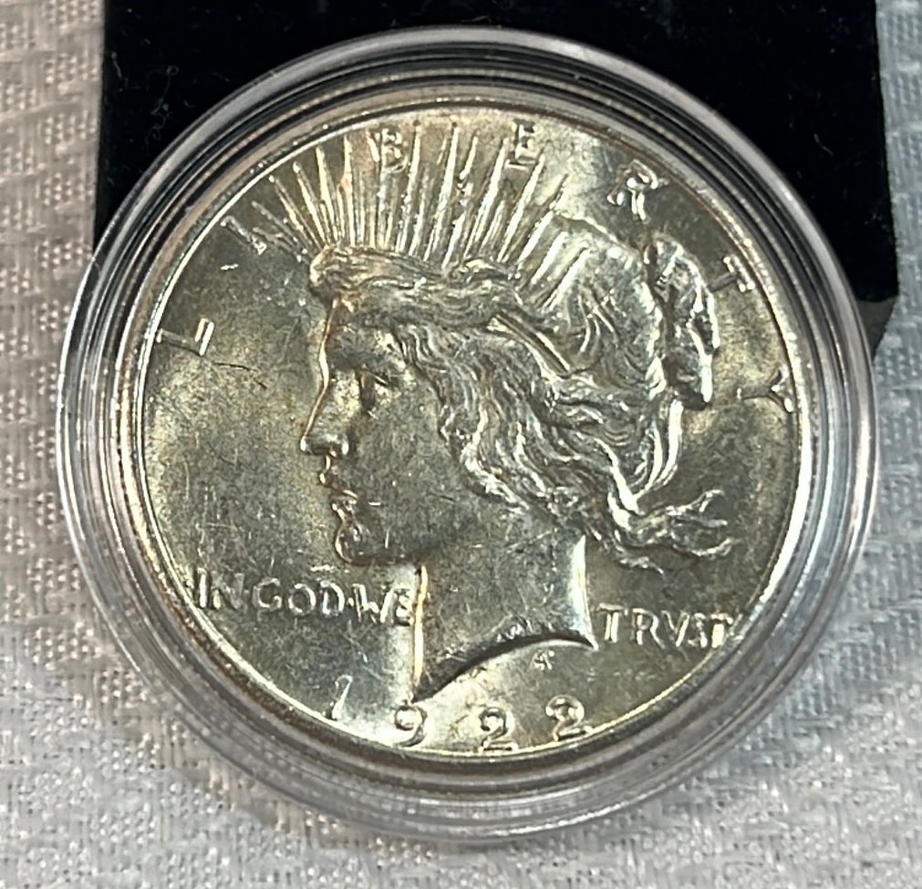 Online Bidding Available!