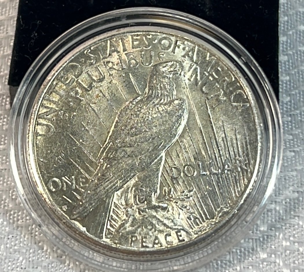 Online Bidding Available!