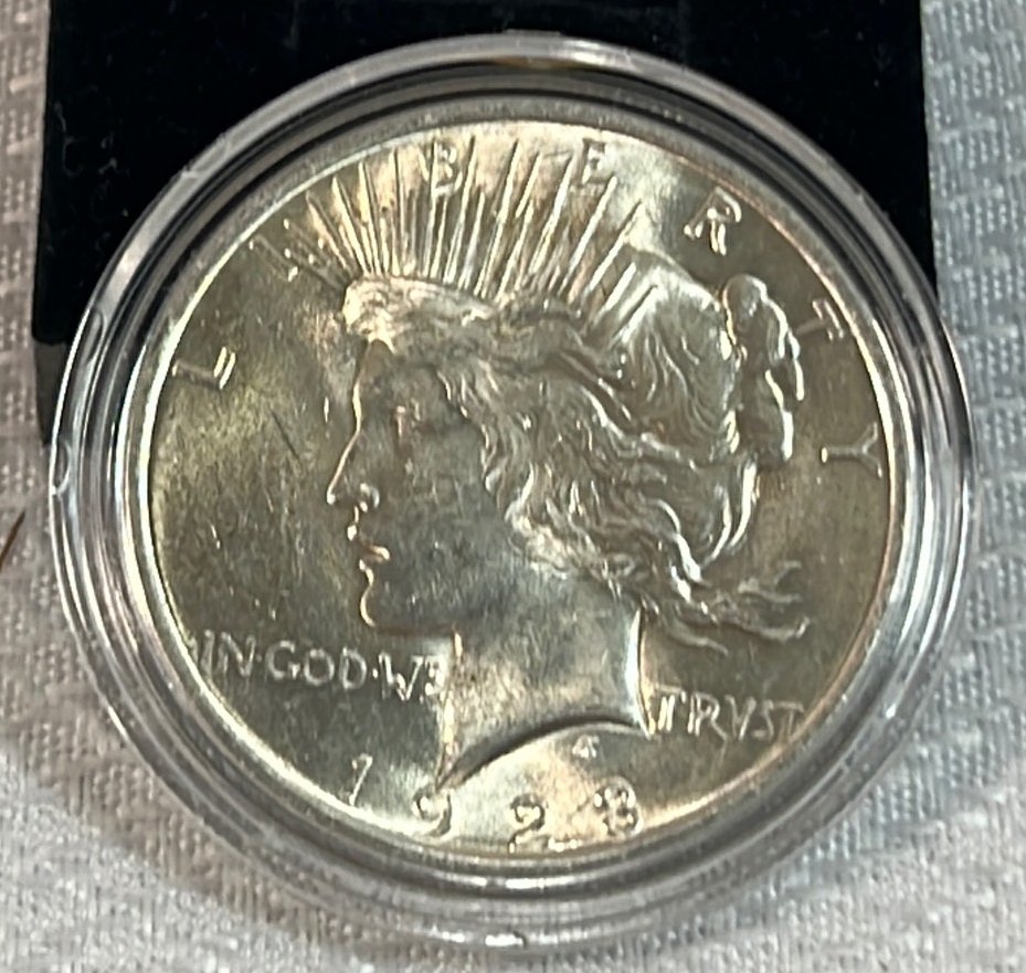 Online Bidding Available!