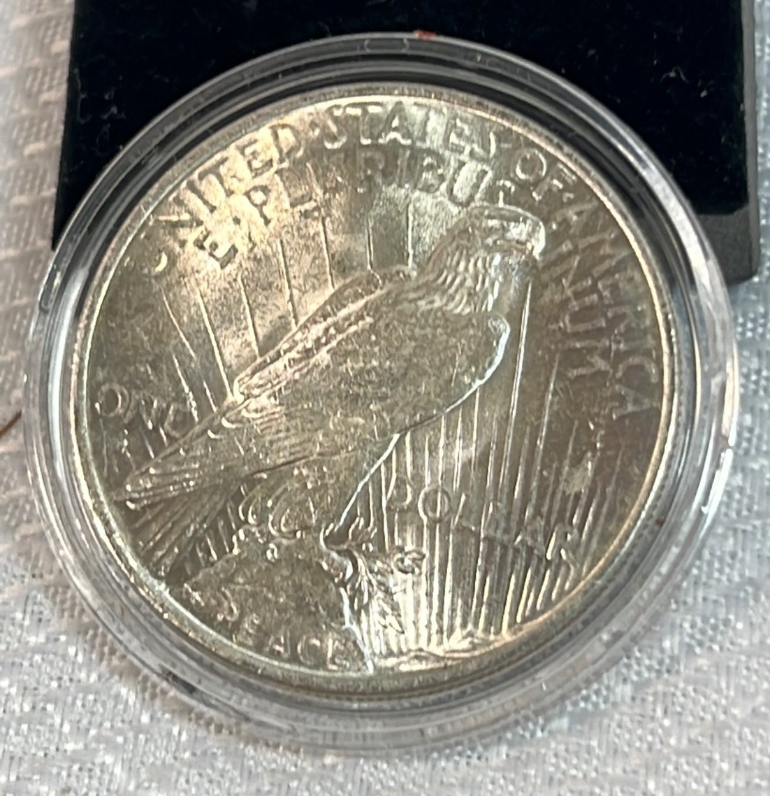 Online Bidding Available!