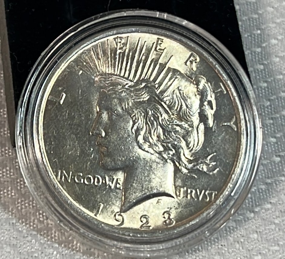 Online Bidding Available!