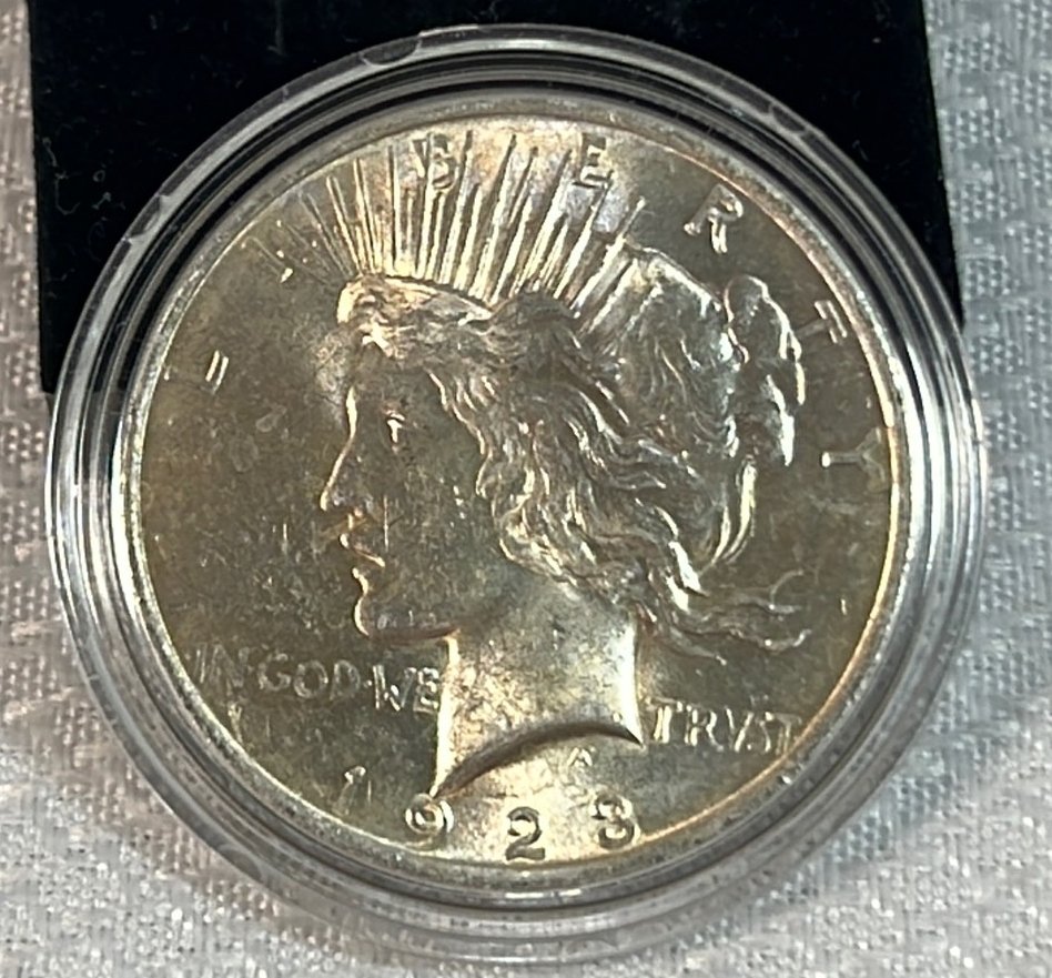 Online Bidding Available!