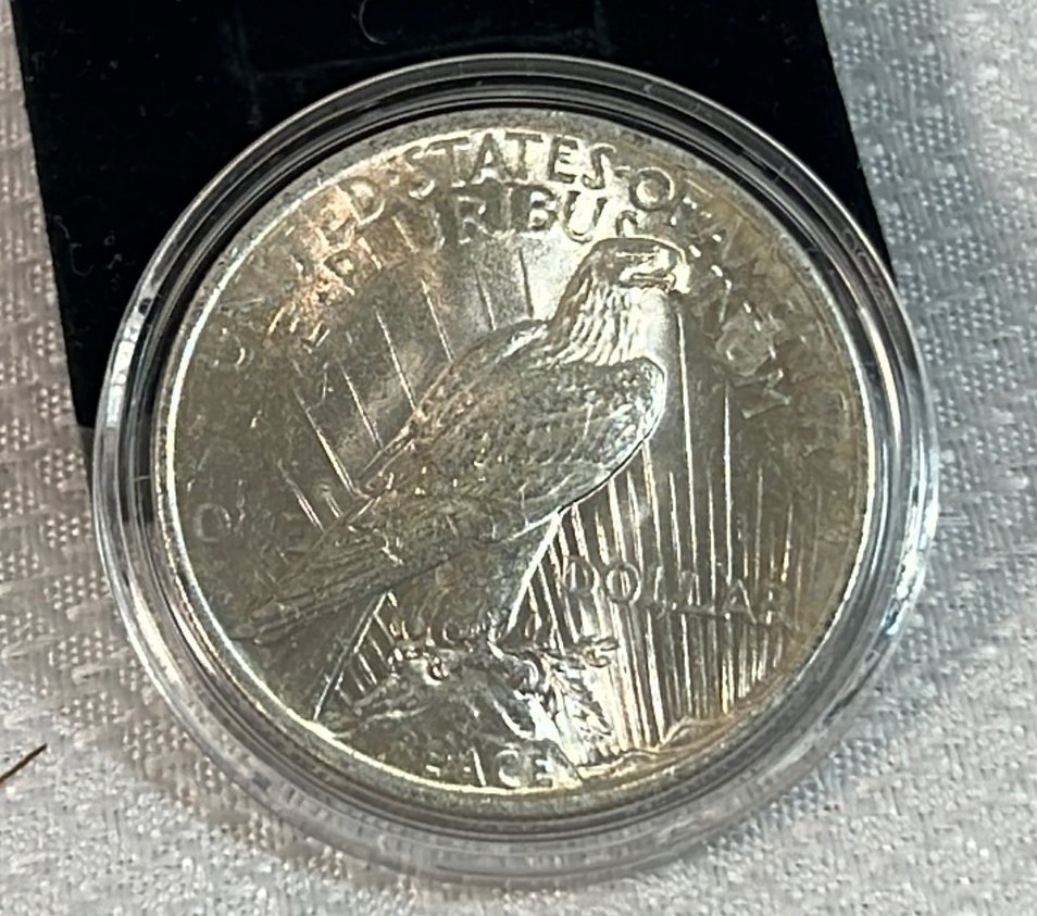 Online Bidding Available!