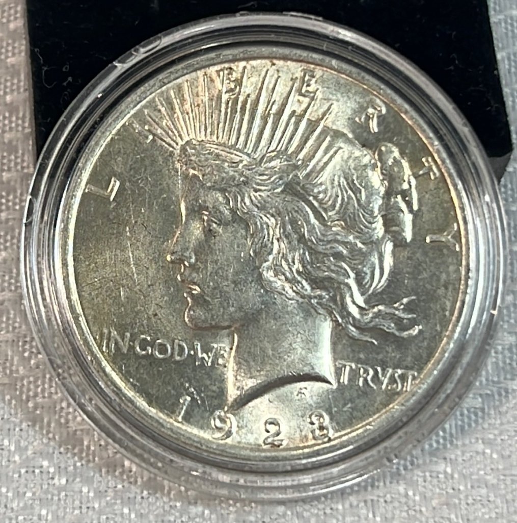 Online Bidding Available!