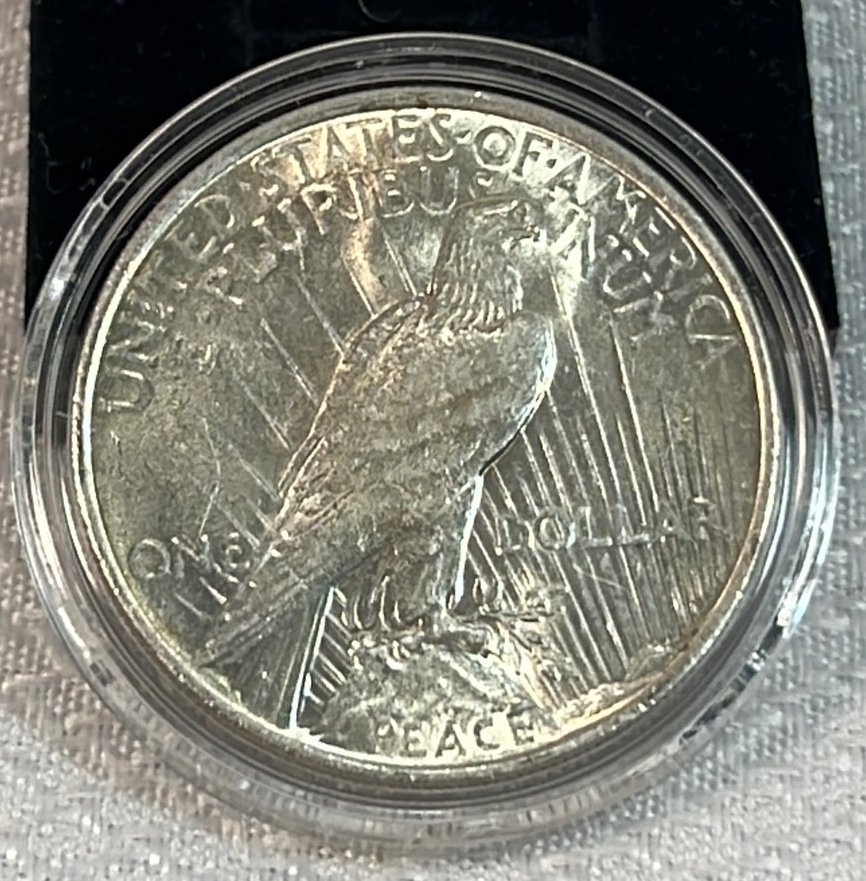 Online Bidding Available!