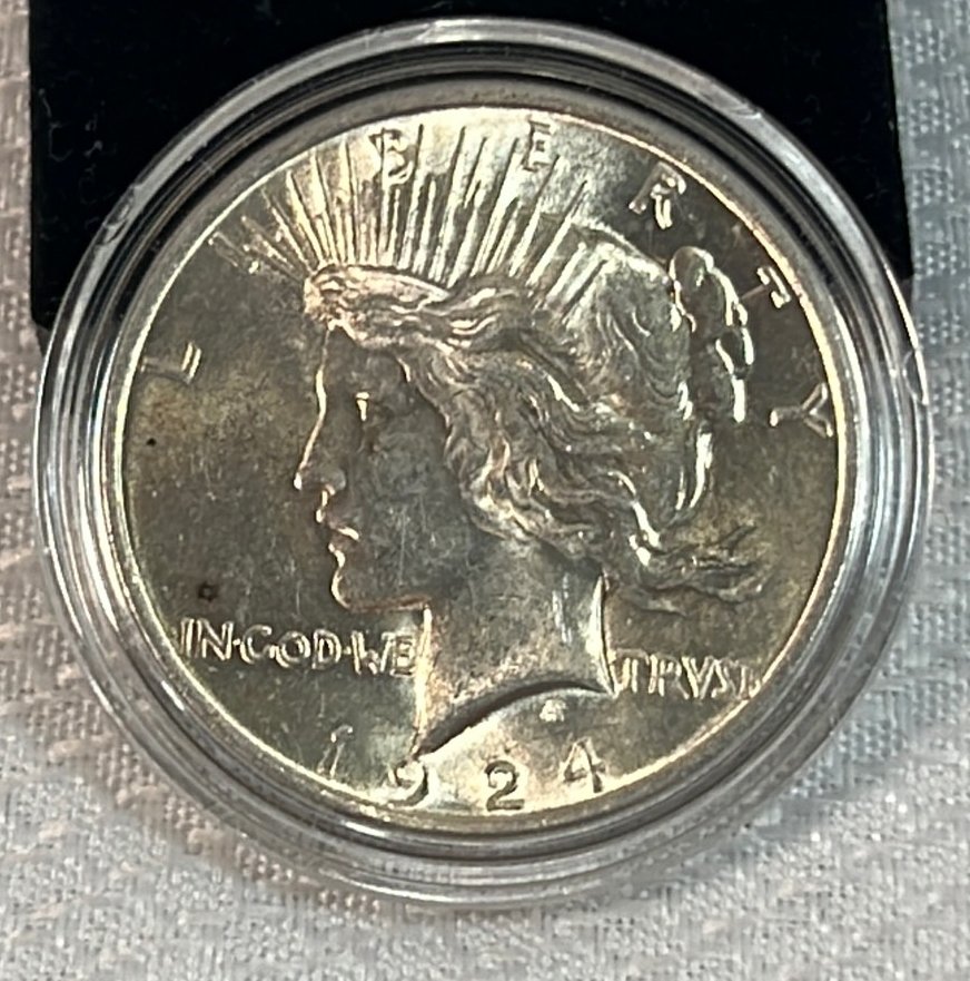 Online Bidding Available!