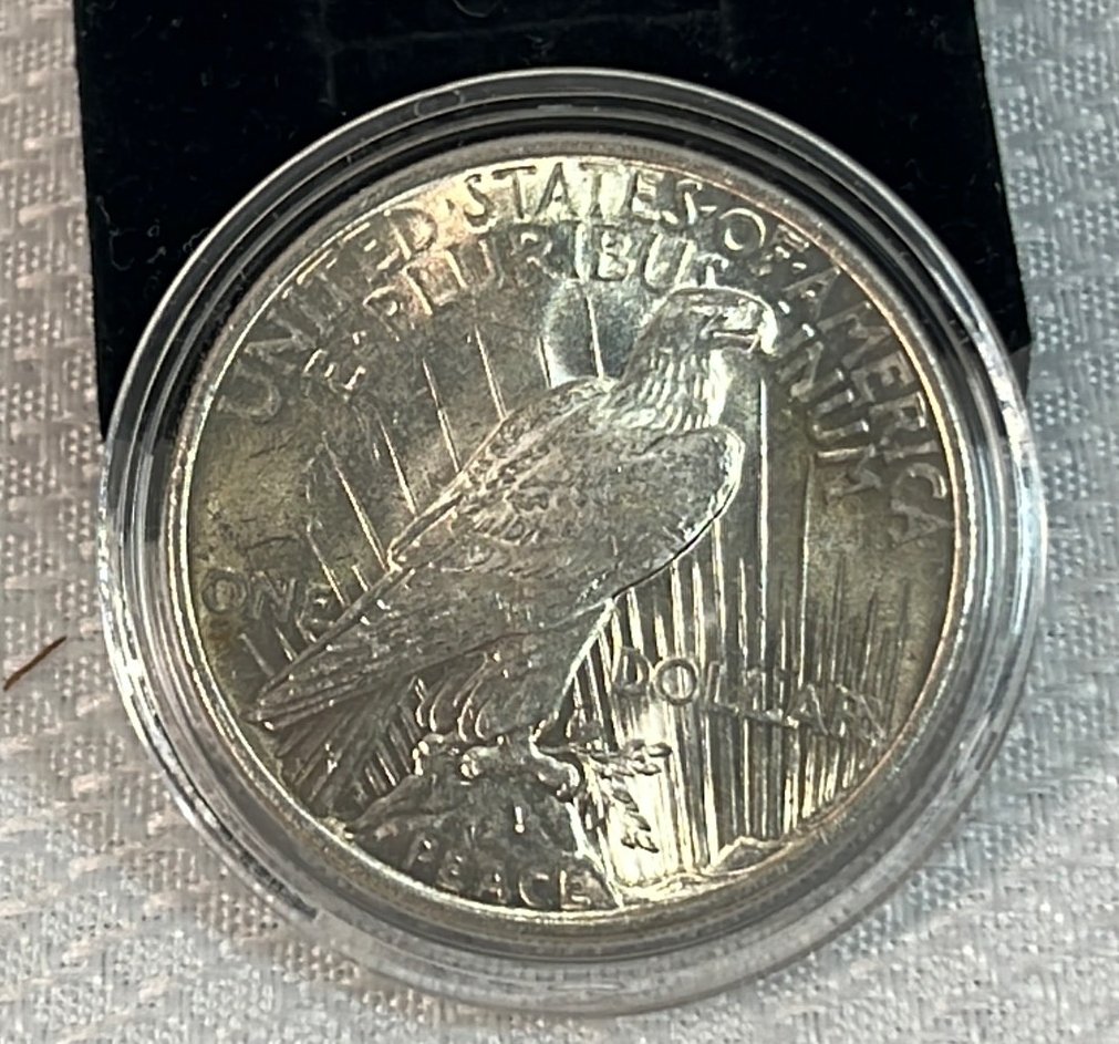 Online Bidding Available!