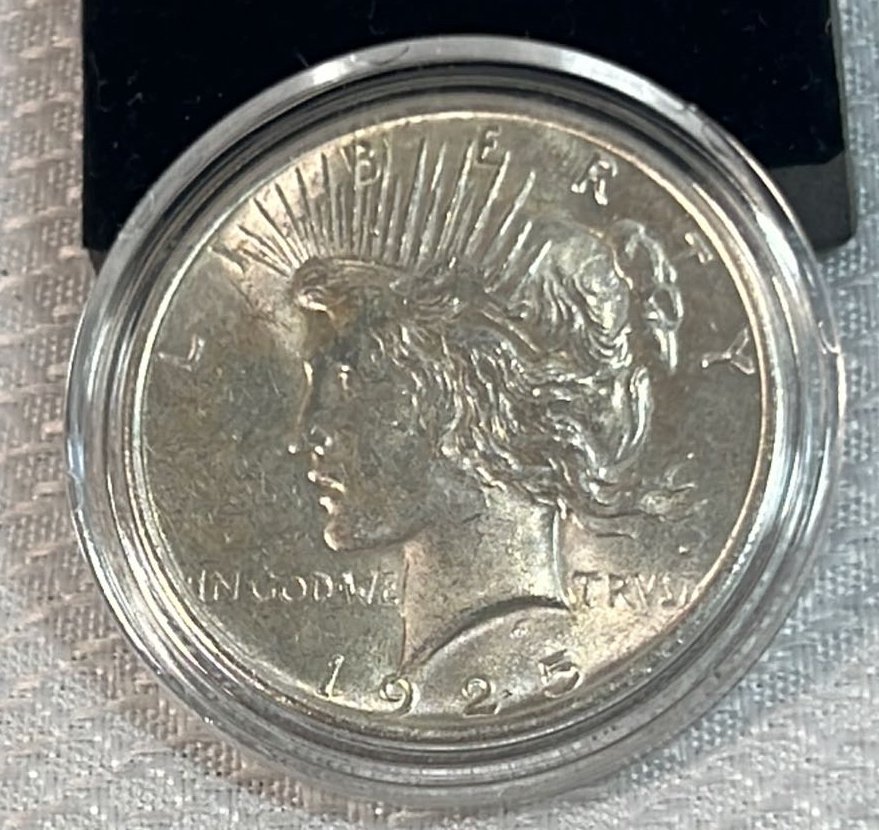 Online Bidding Available!