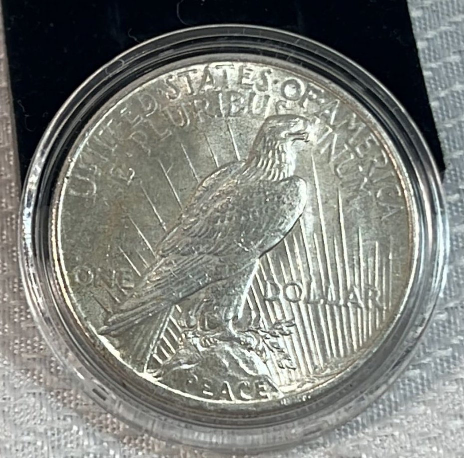 Online Bidding Available!