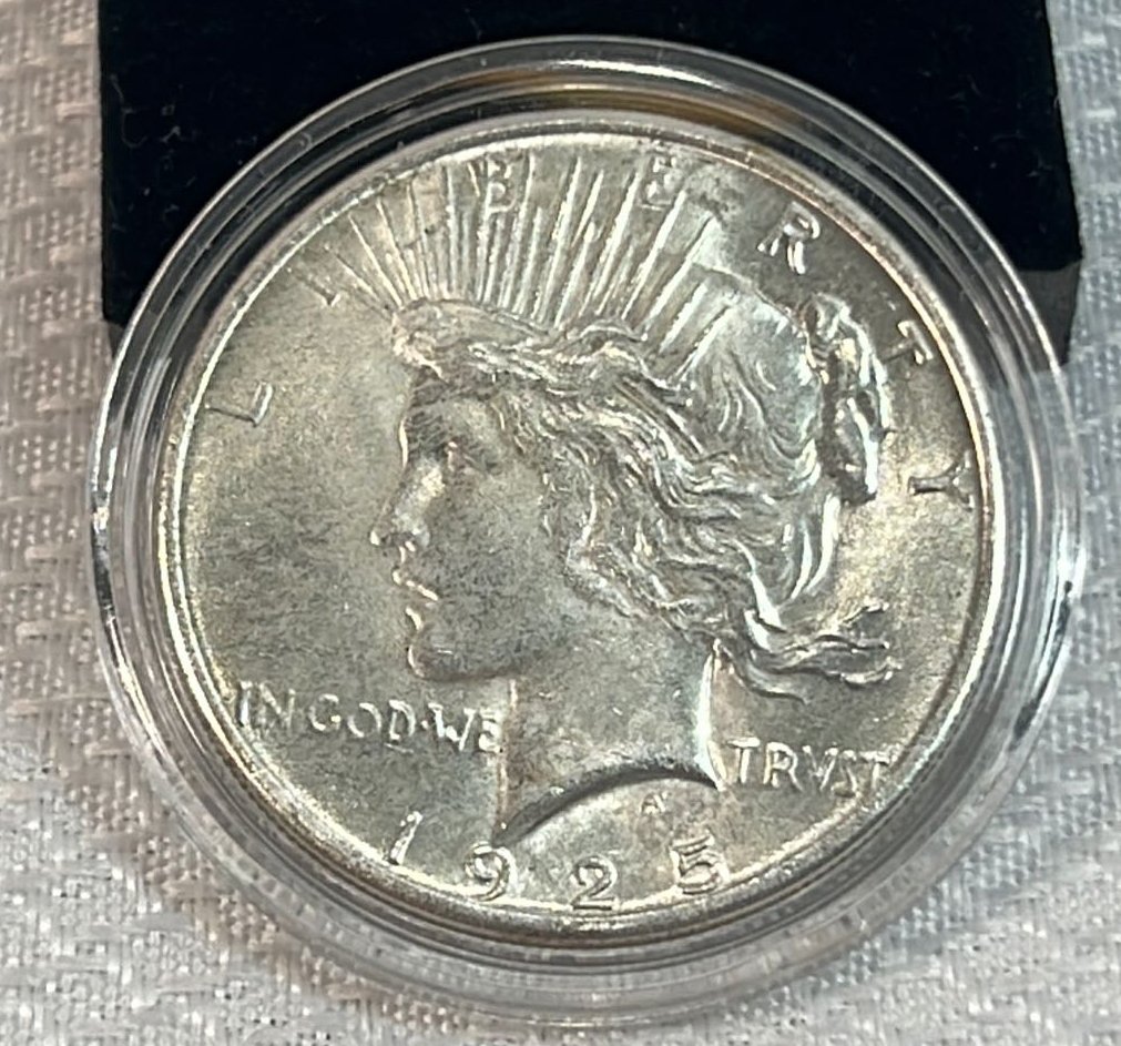 Online Bidding Available!