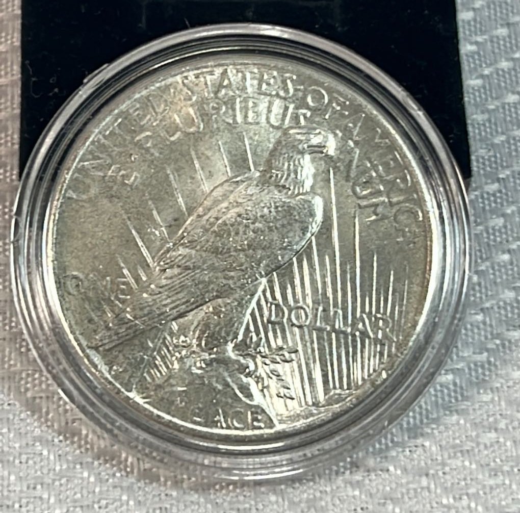 Online Bidding Available!