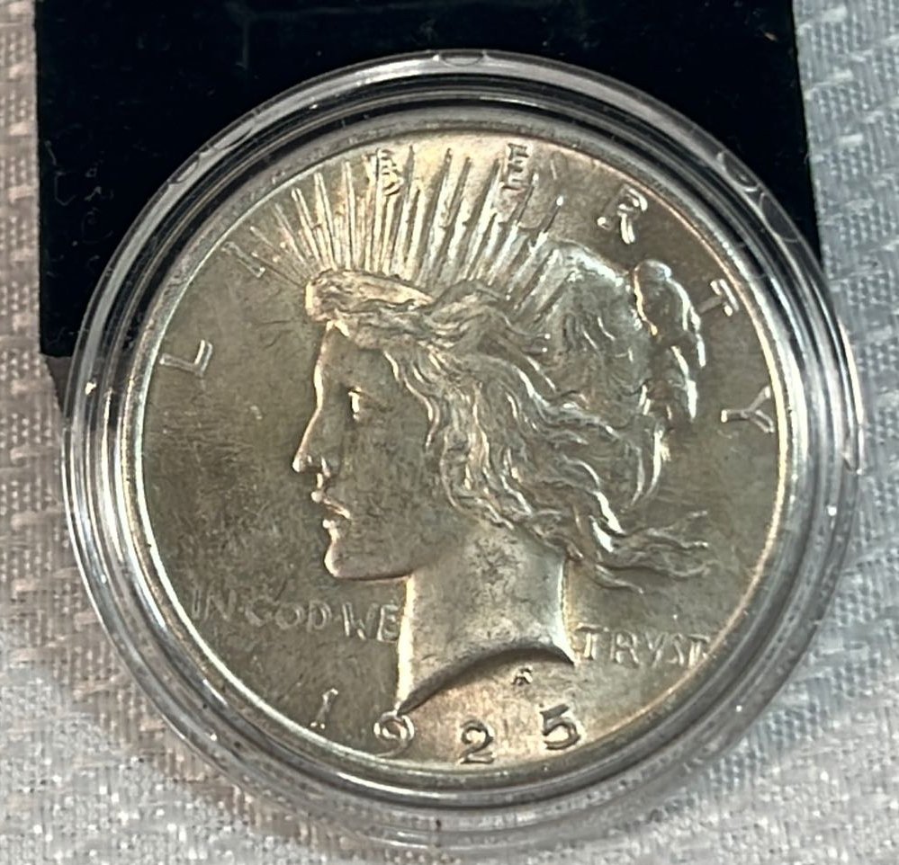 Online Bidding Available!