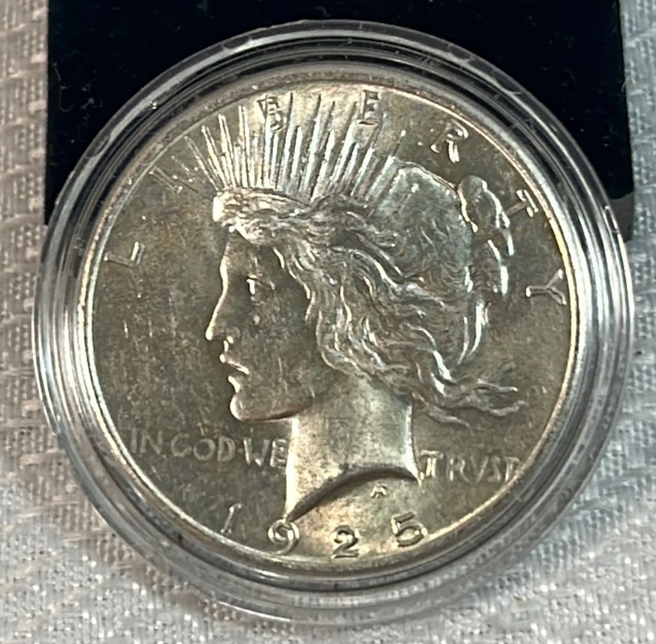 Online Bidding Available!