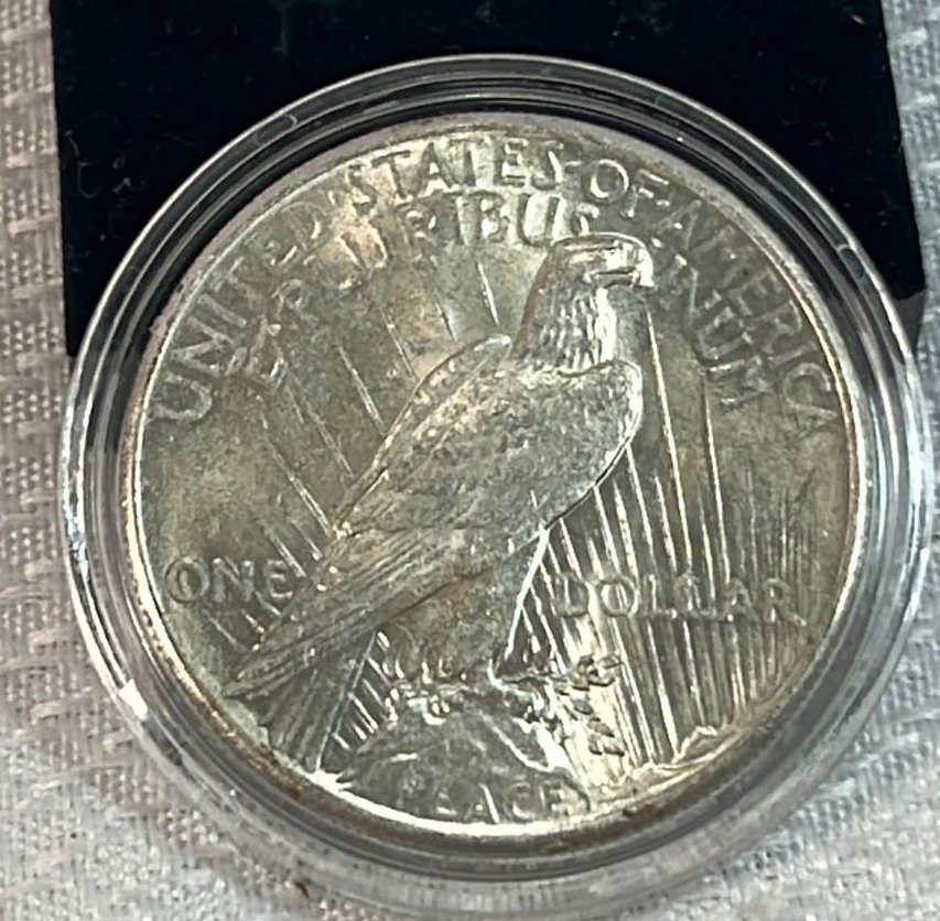 Online Bidding Available!