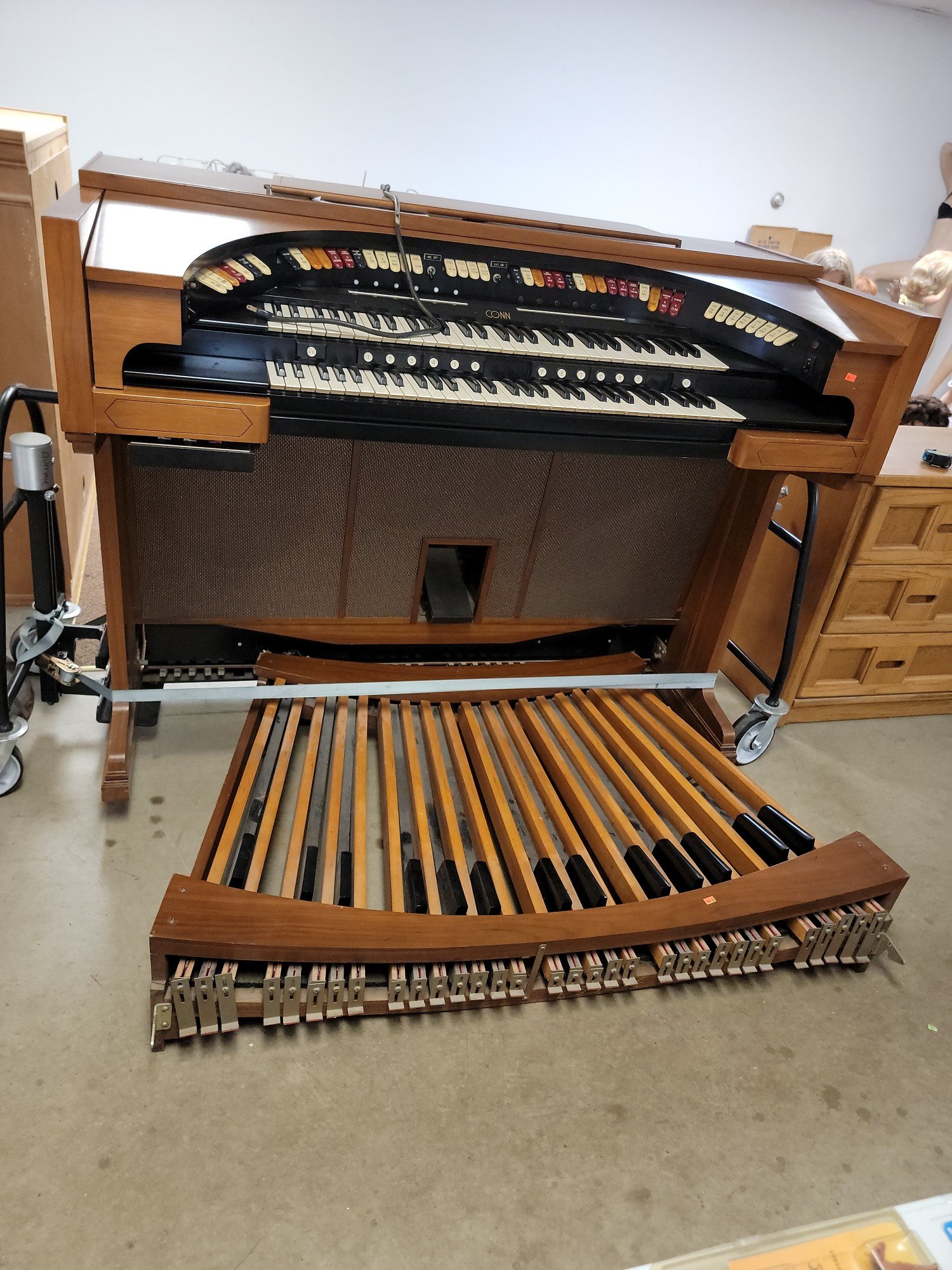 Online Bidding Available!