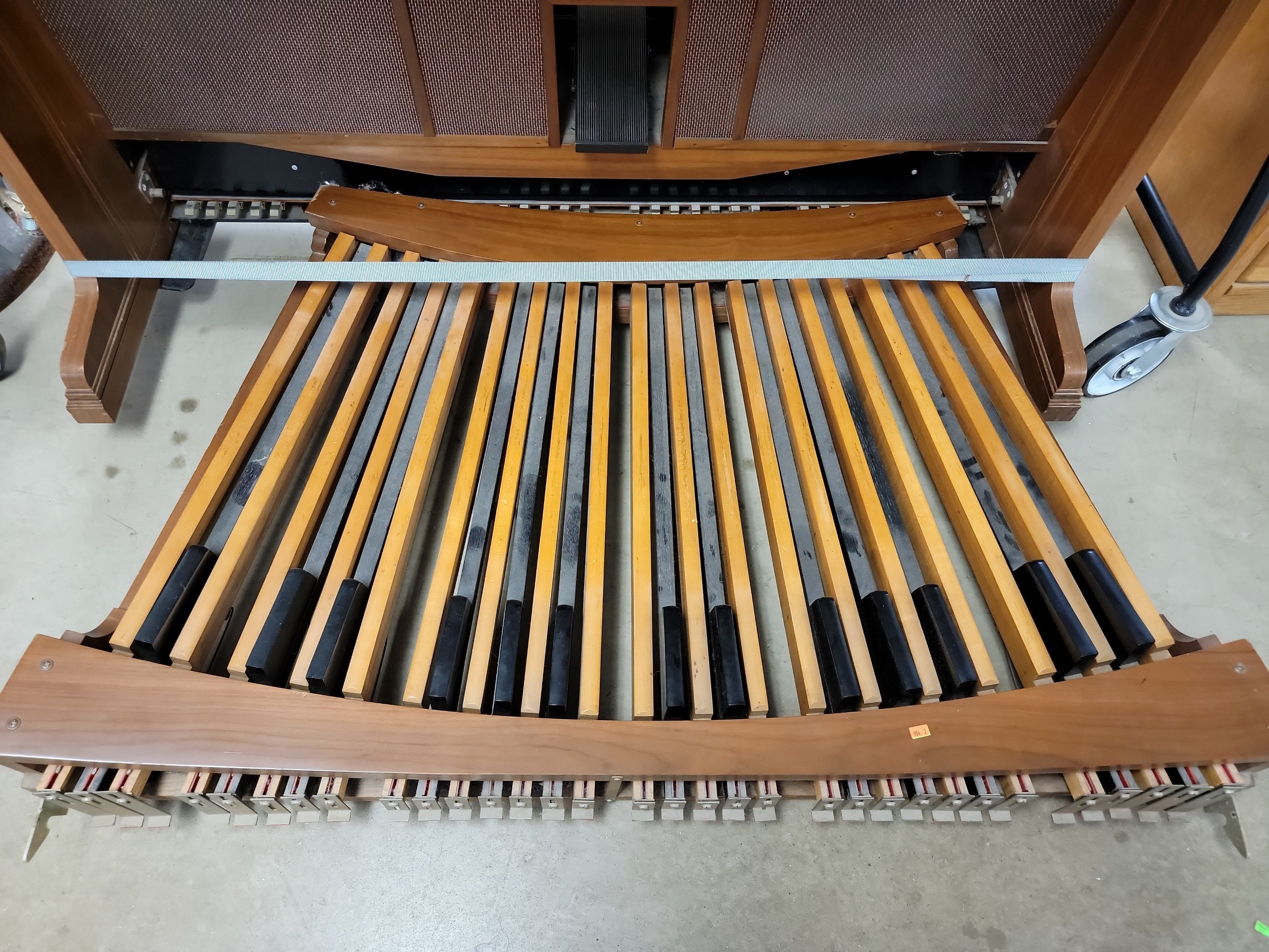 Online Bidding Available!