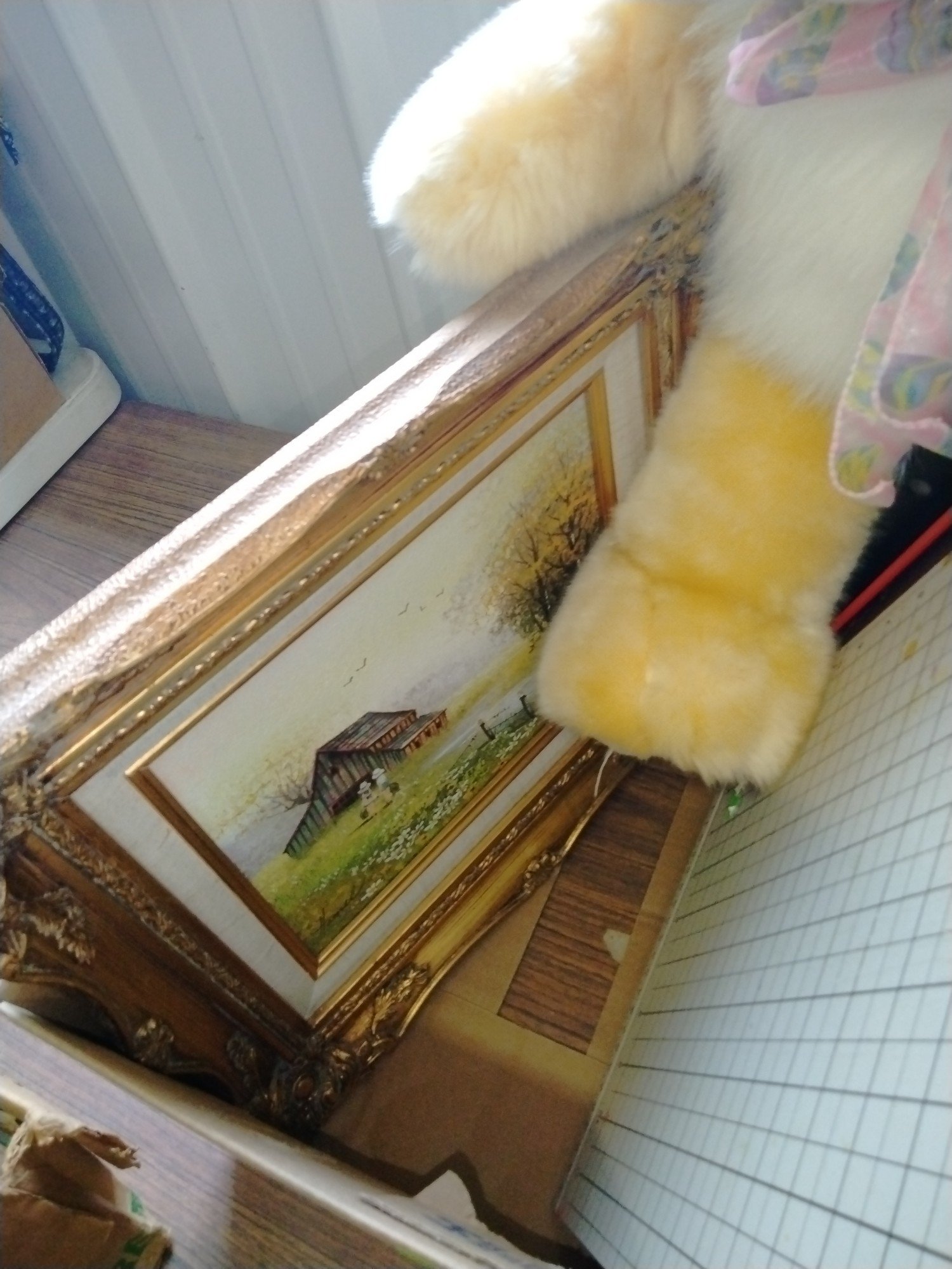 ONLINE BIDDING ONLY