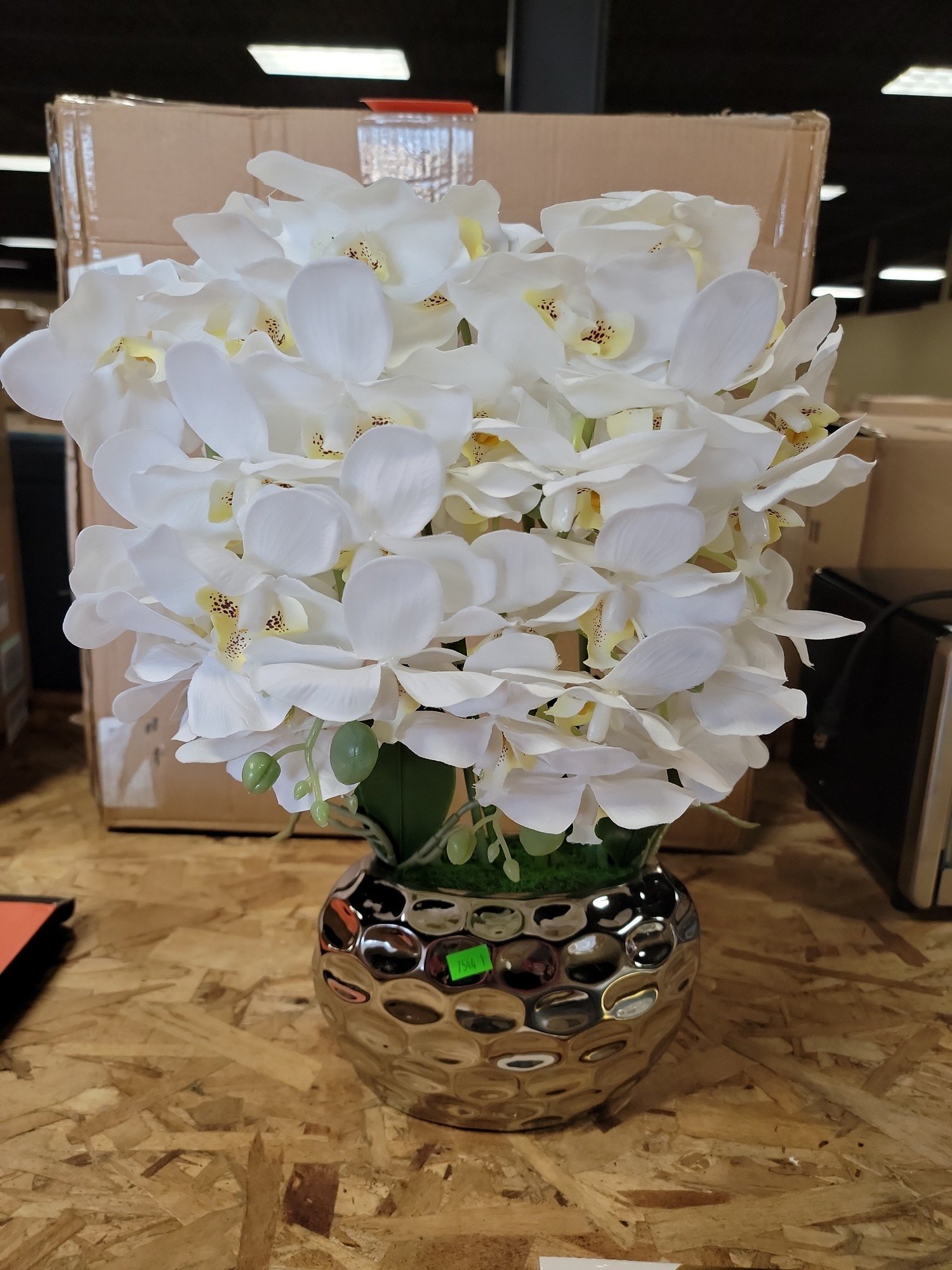 Online Bidding Available!