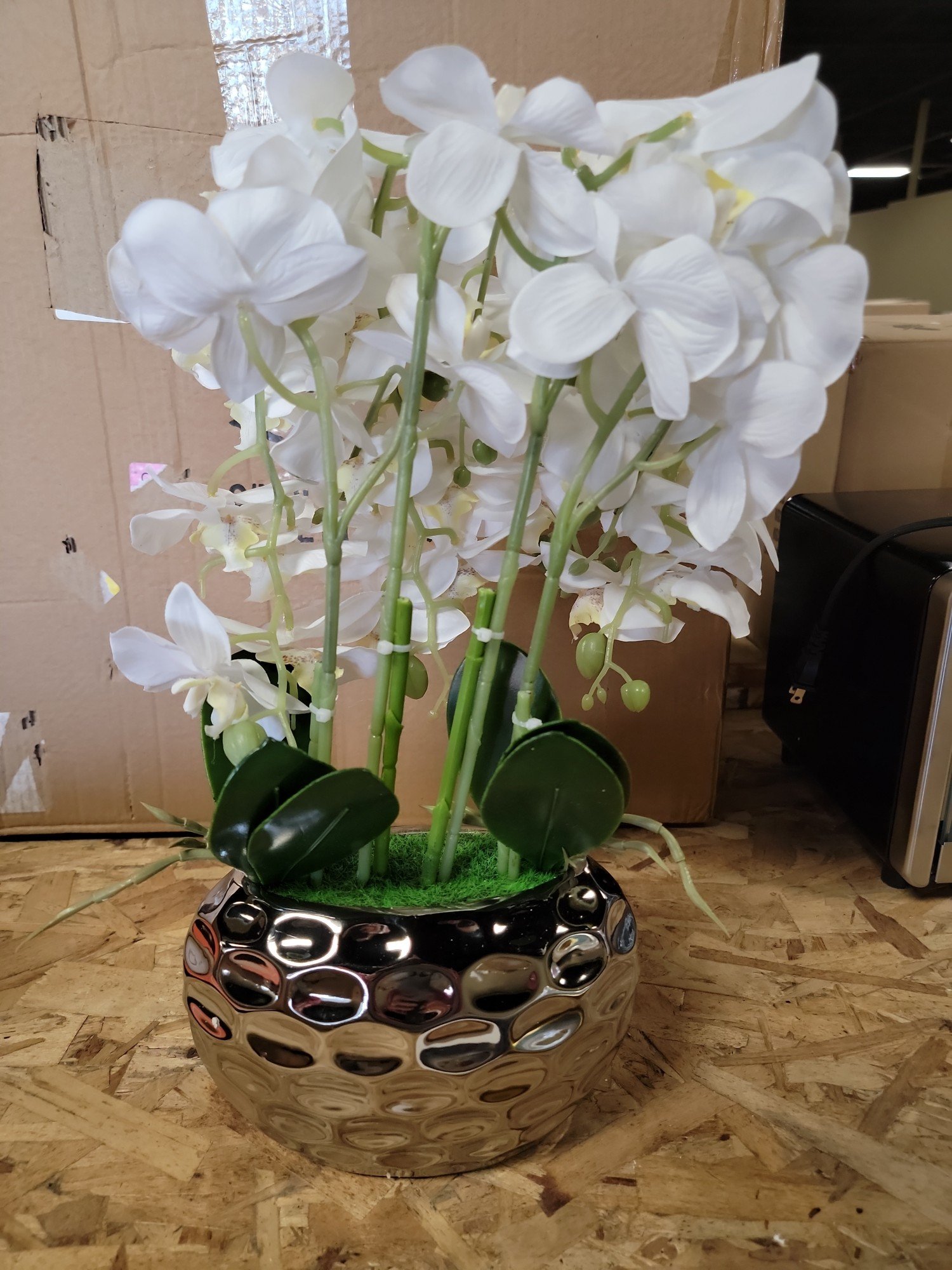 Online Bidding Available!