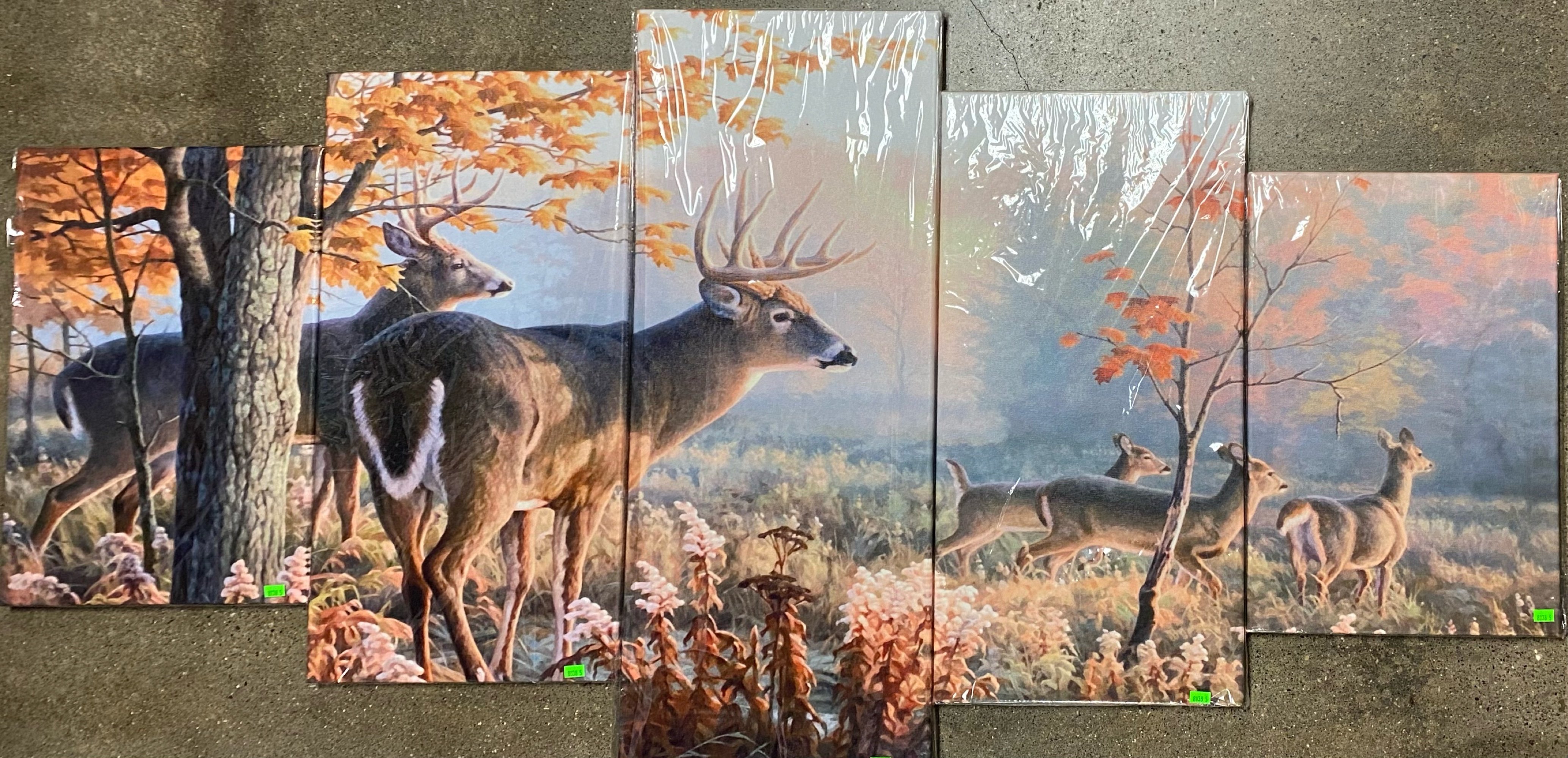 Online Bidding Available!