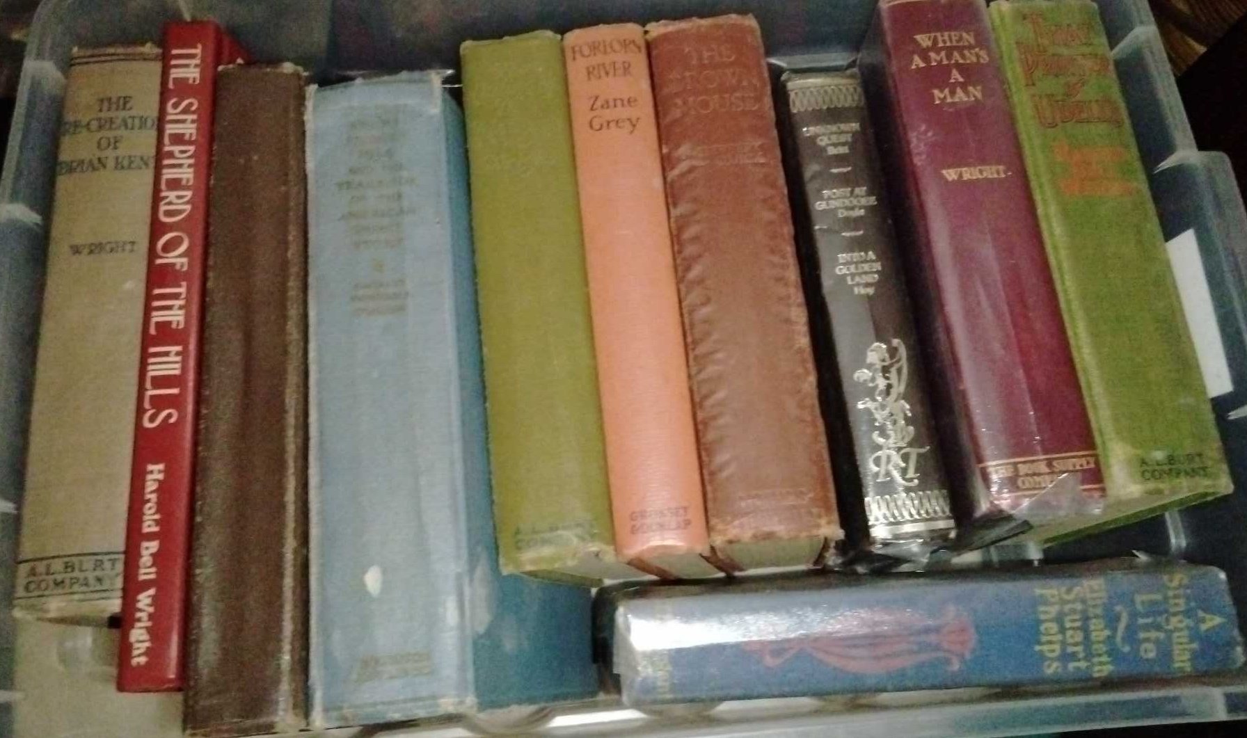 Online Bidding Available!