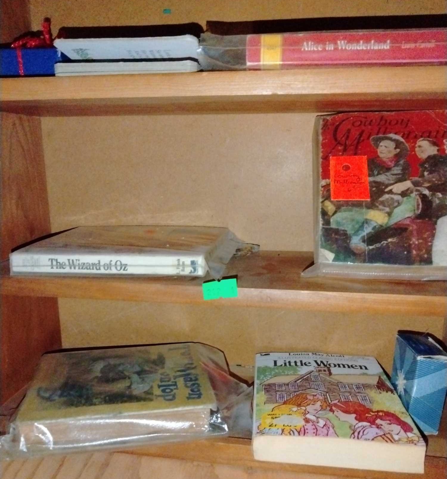 Online Bidding Available!