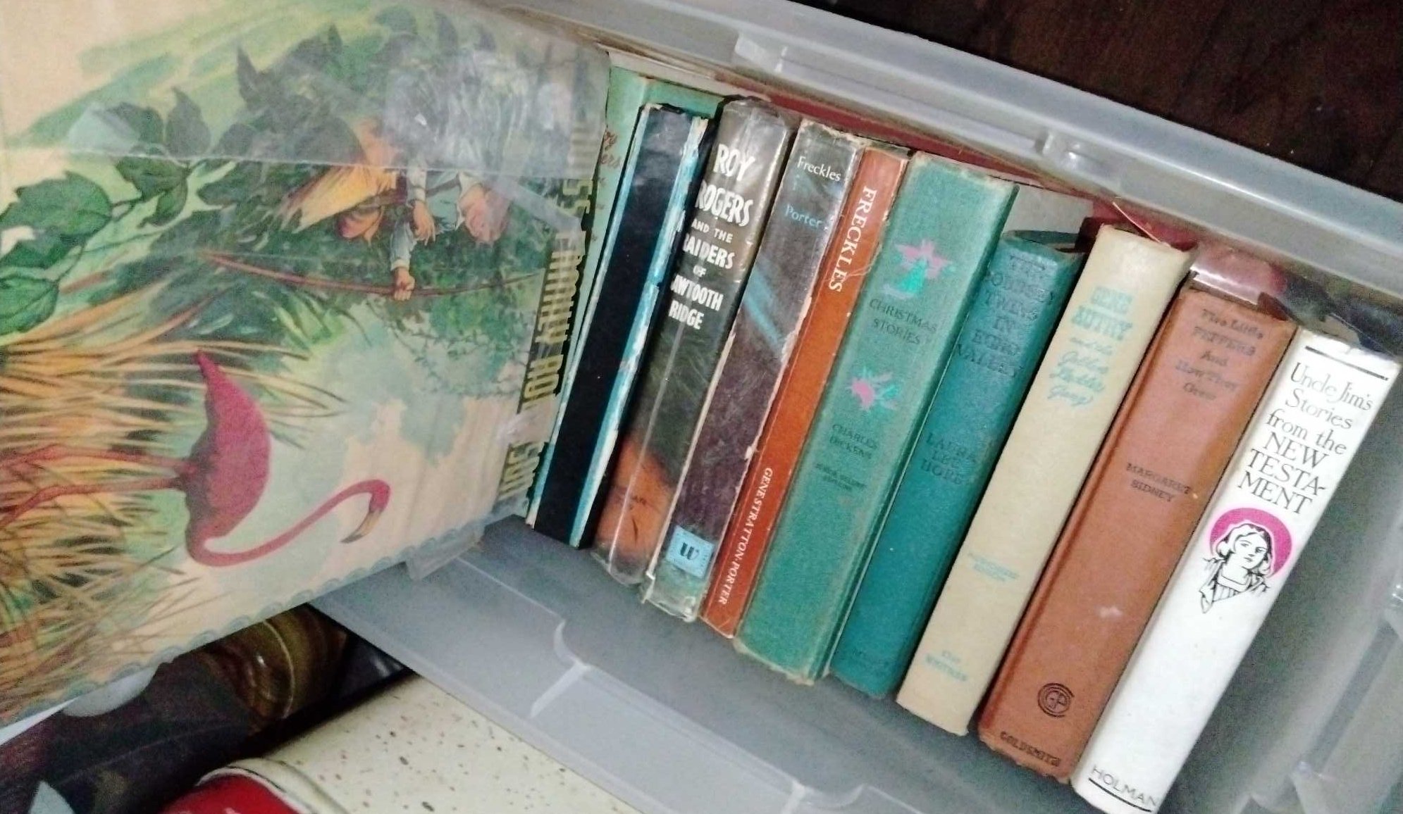 Online Bidding Available!